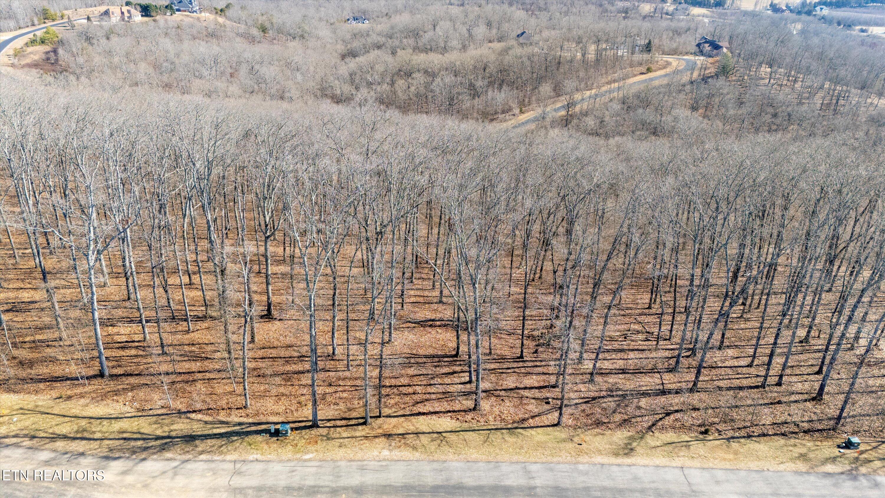 Grand Vista Drive Rockwood TN 37854
