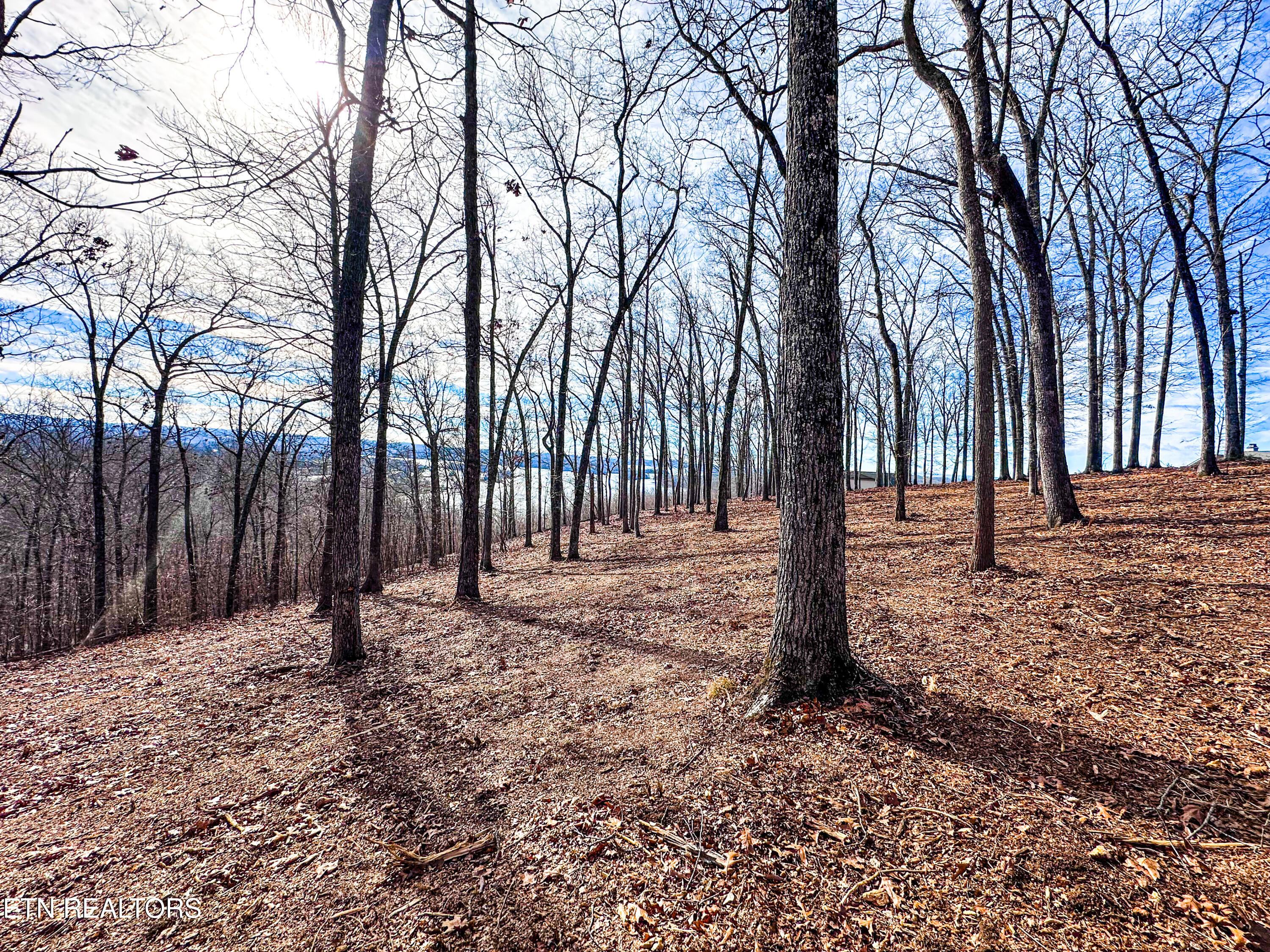 Grand Vista Drive Rockwood TN 37854