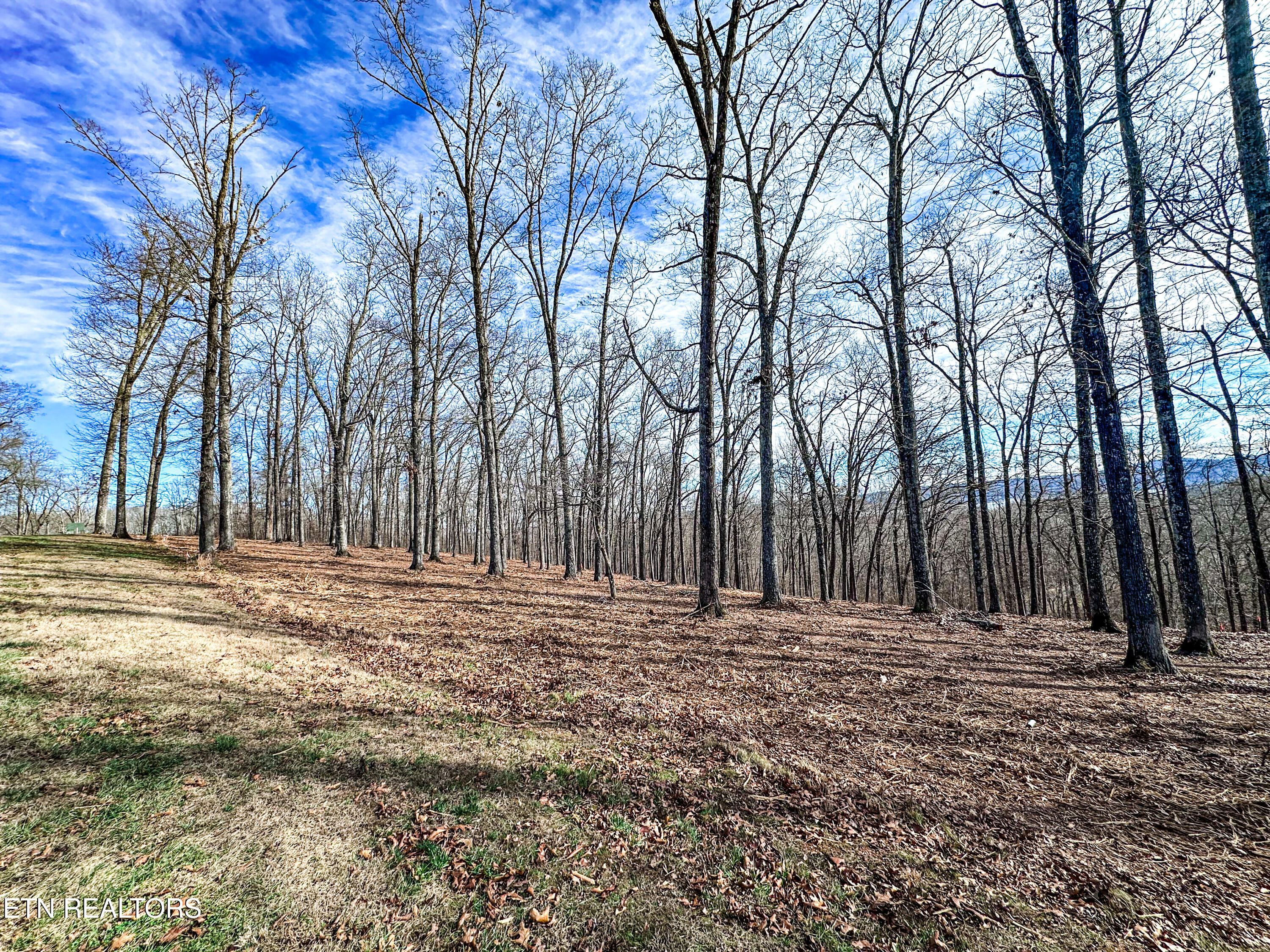 Grand Vista Drive Rockwood TN 37854