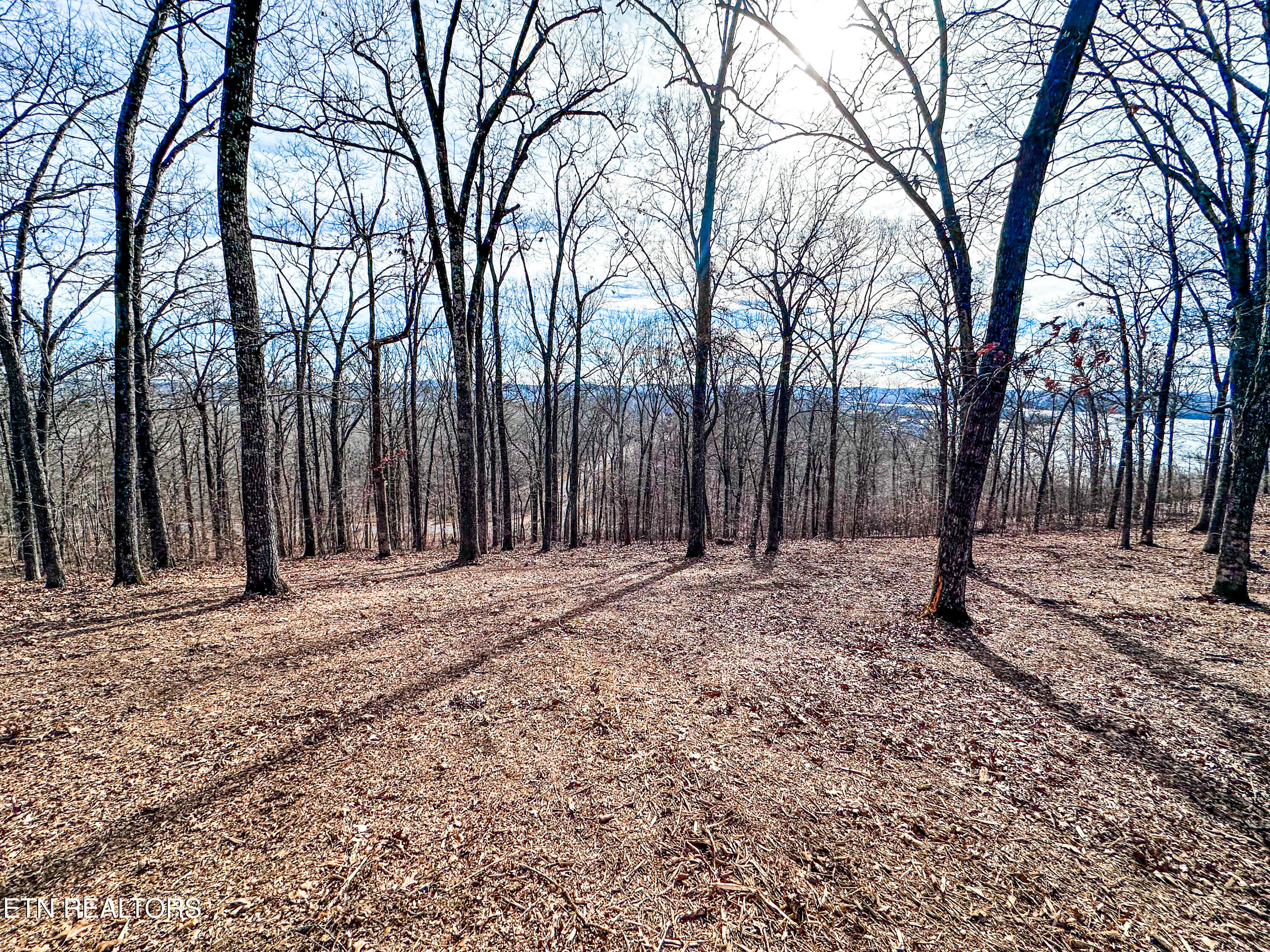 Grand Vista Drive Rockwood TN 37854