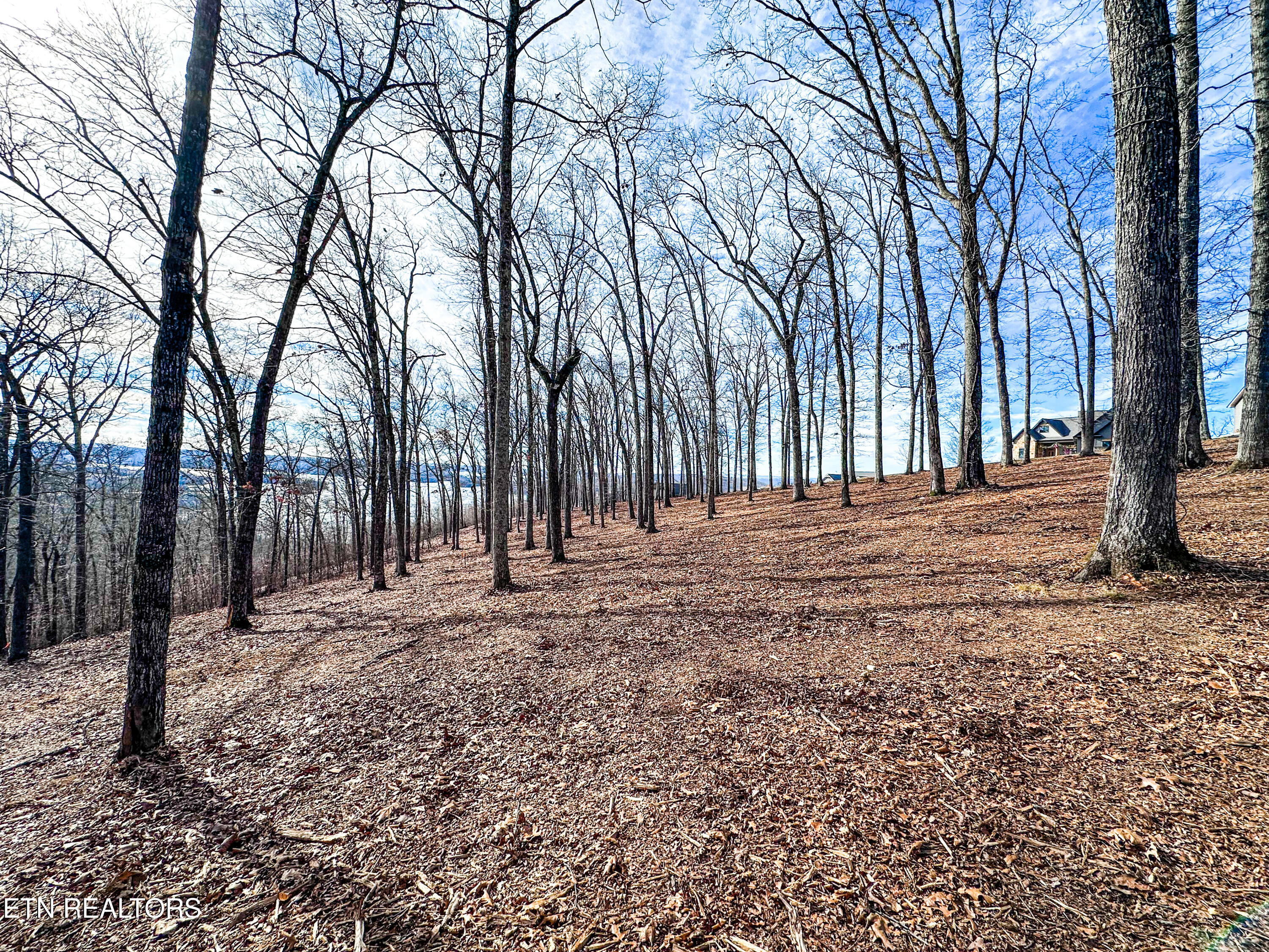 Grand Vista Drive Rockwood TN 37854