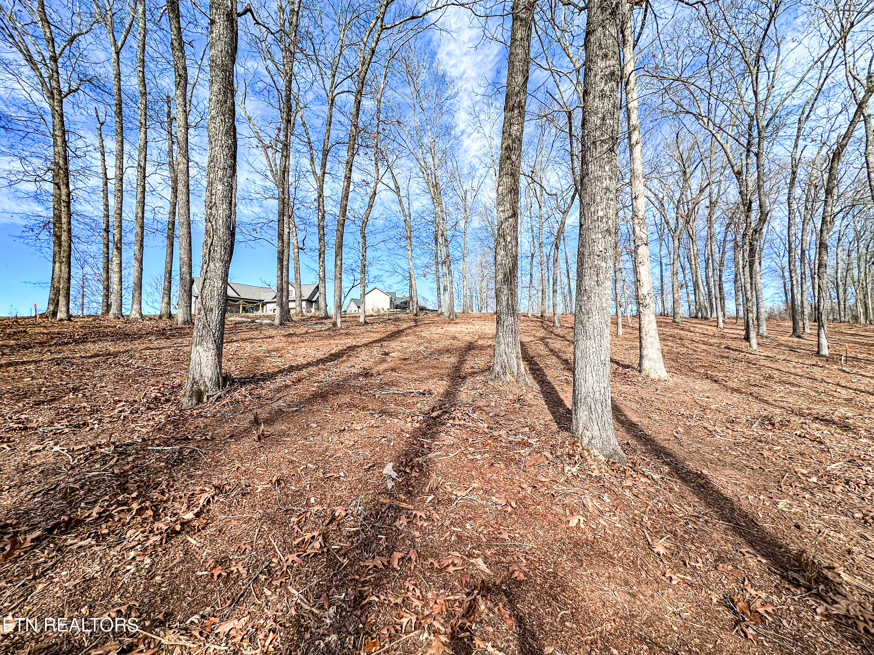 Grand Vista Drive Rockwood TN 37854