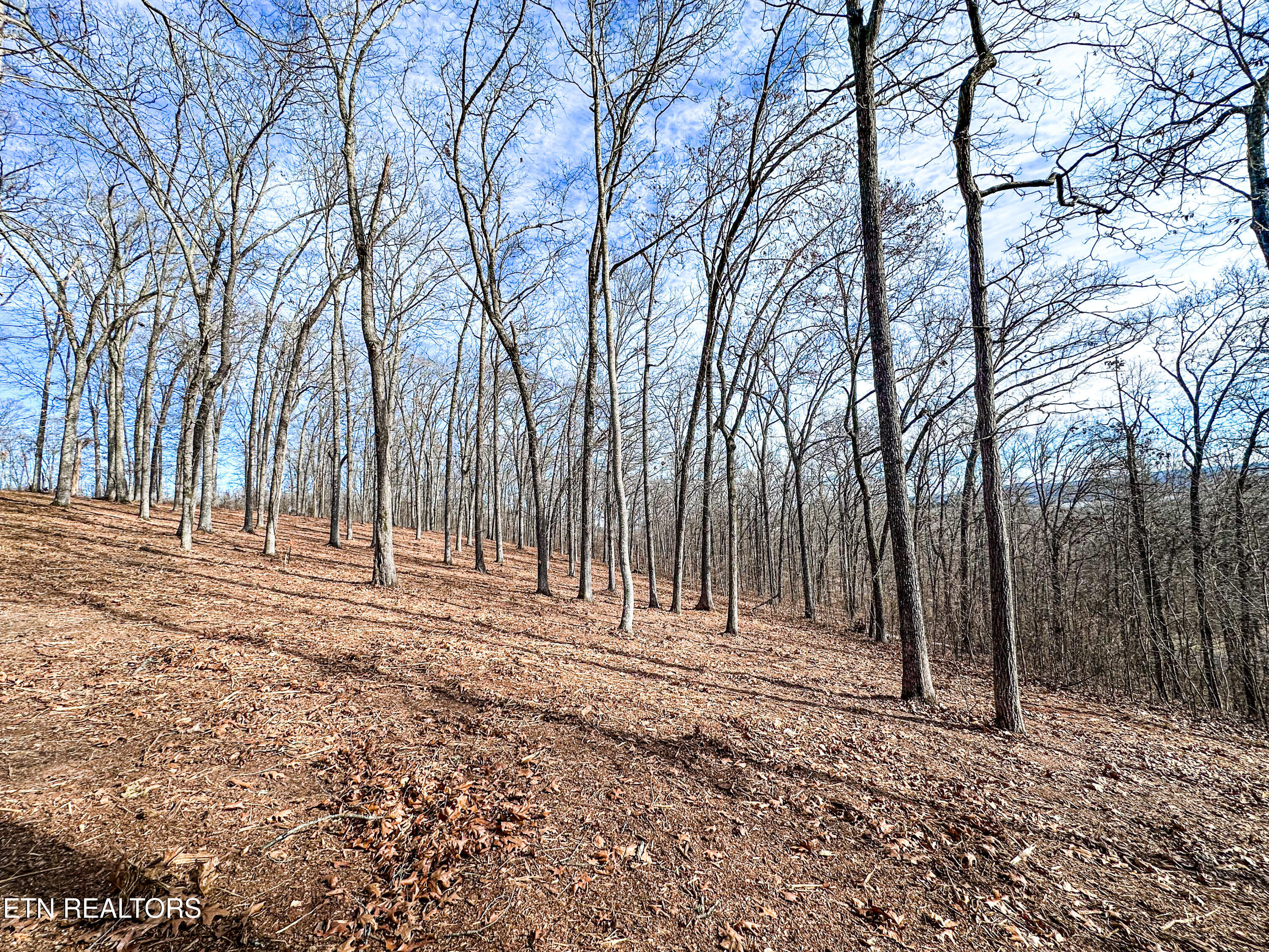 Grand Vista Drive Rockwood TN 37854