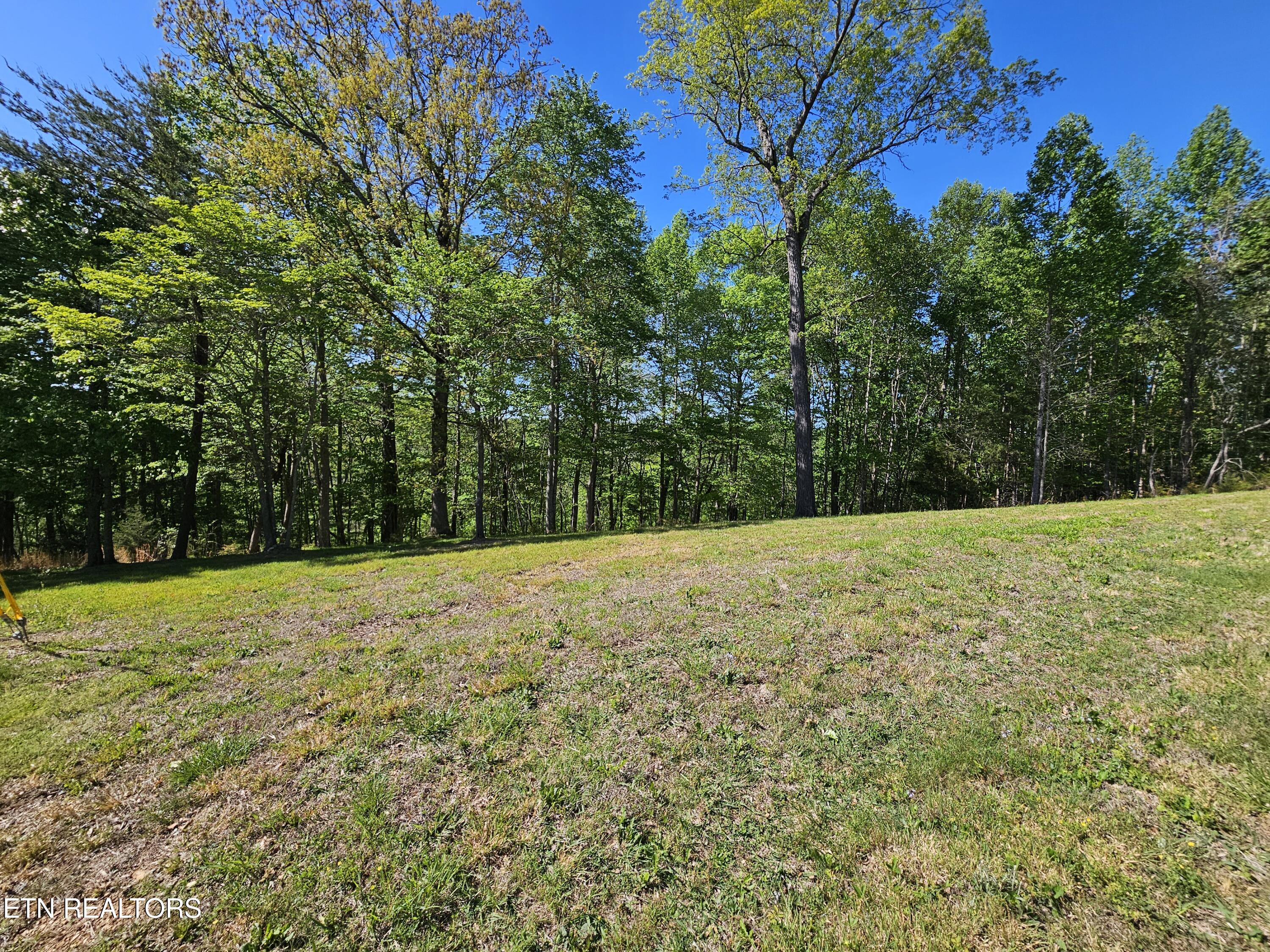 Norris View Lane Lafollette TN 37766