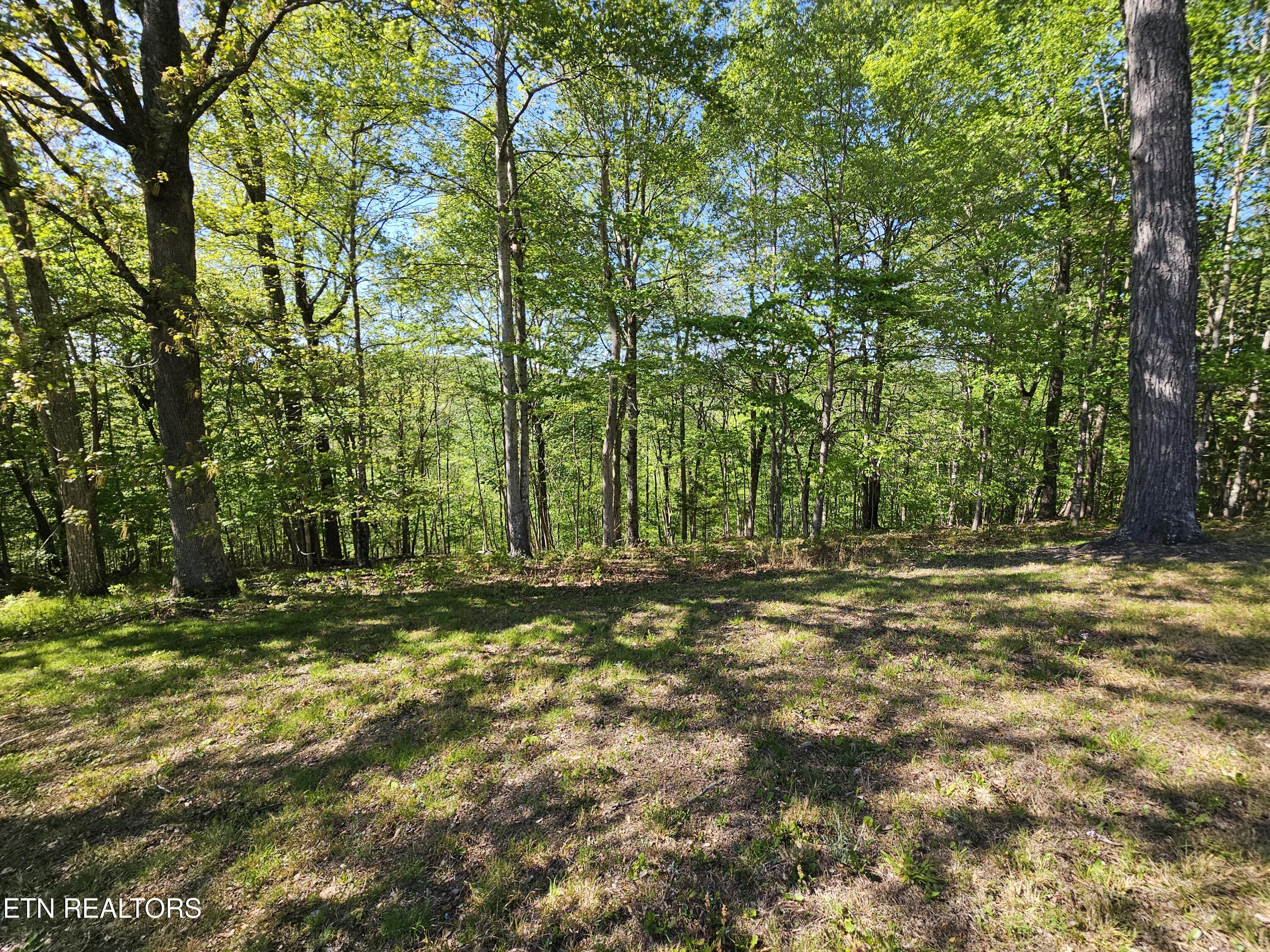 Norris View Lane Lafollette TN 37766