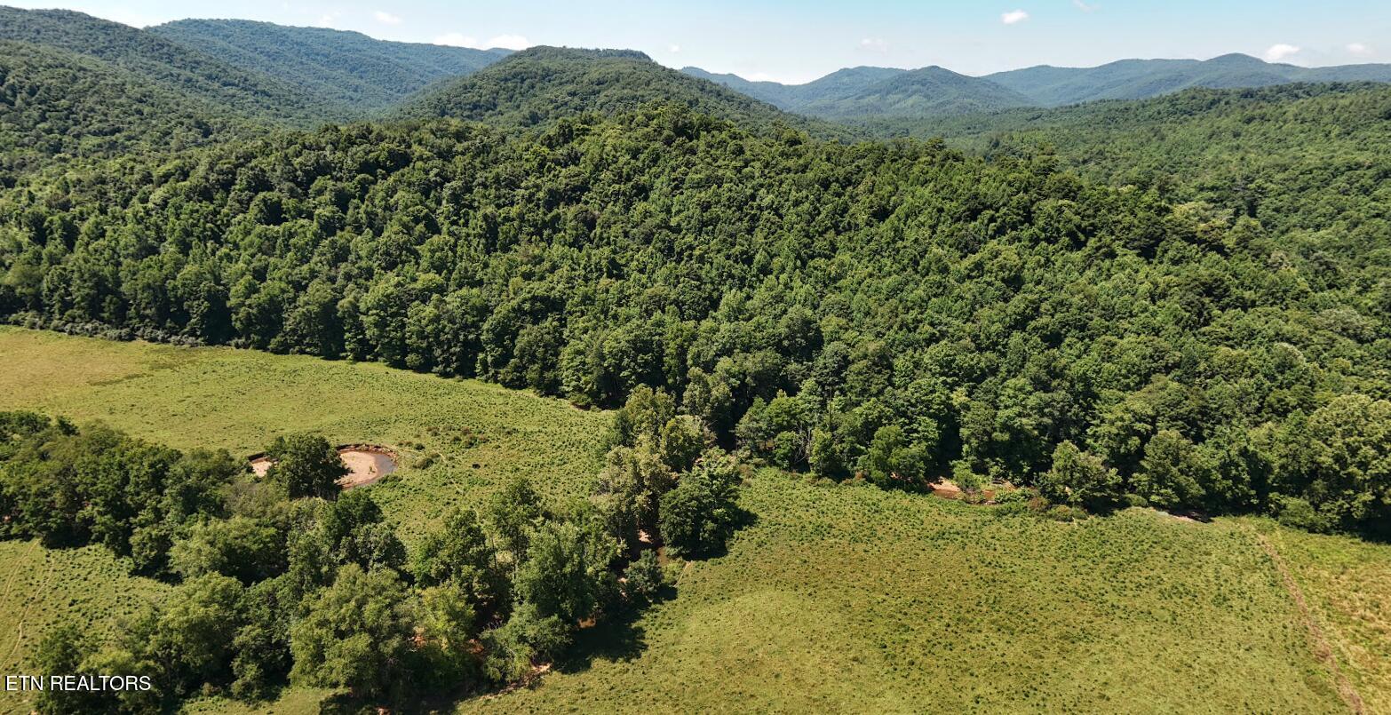 0 Brimstone Road Robbins TN 37852