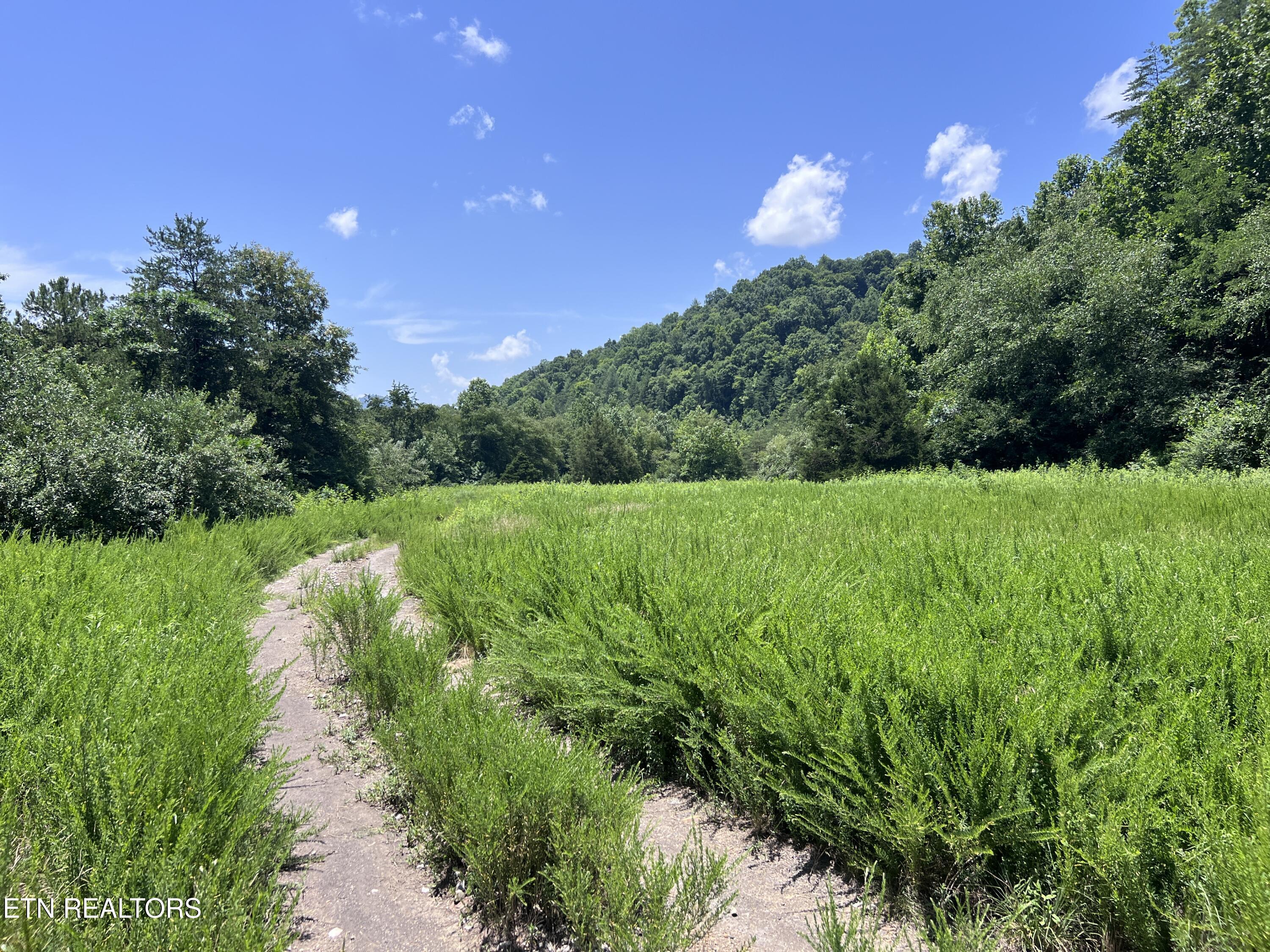 0 Brimstone Road Robbins TN 37852