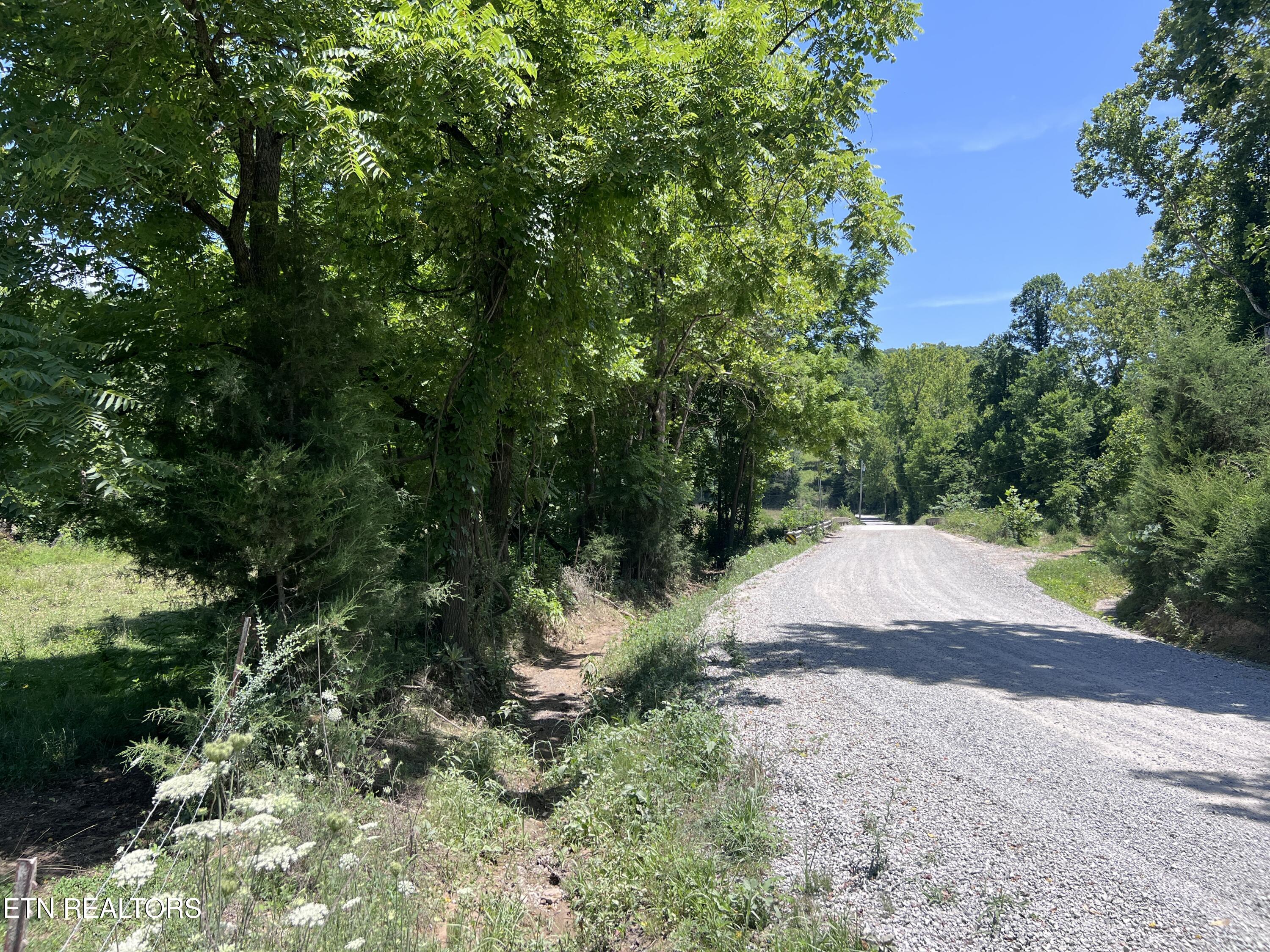 0 Brimstone Road Robbins TN 37852