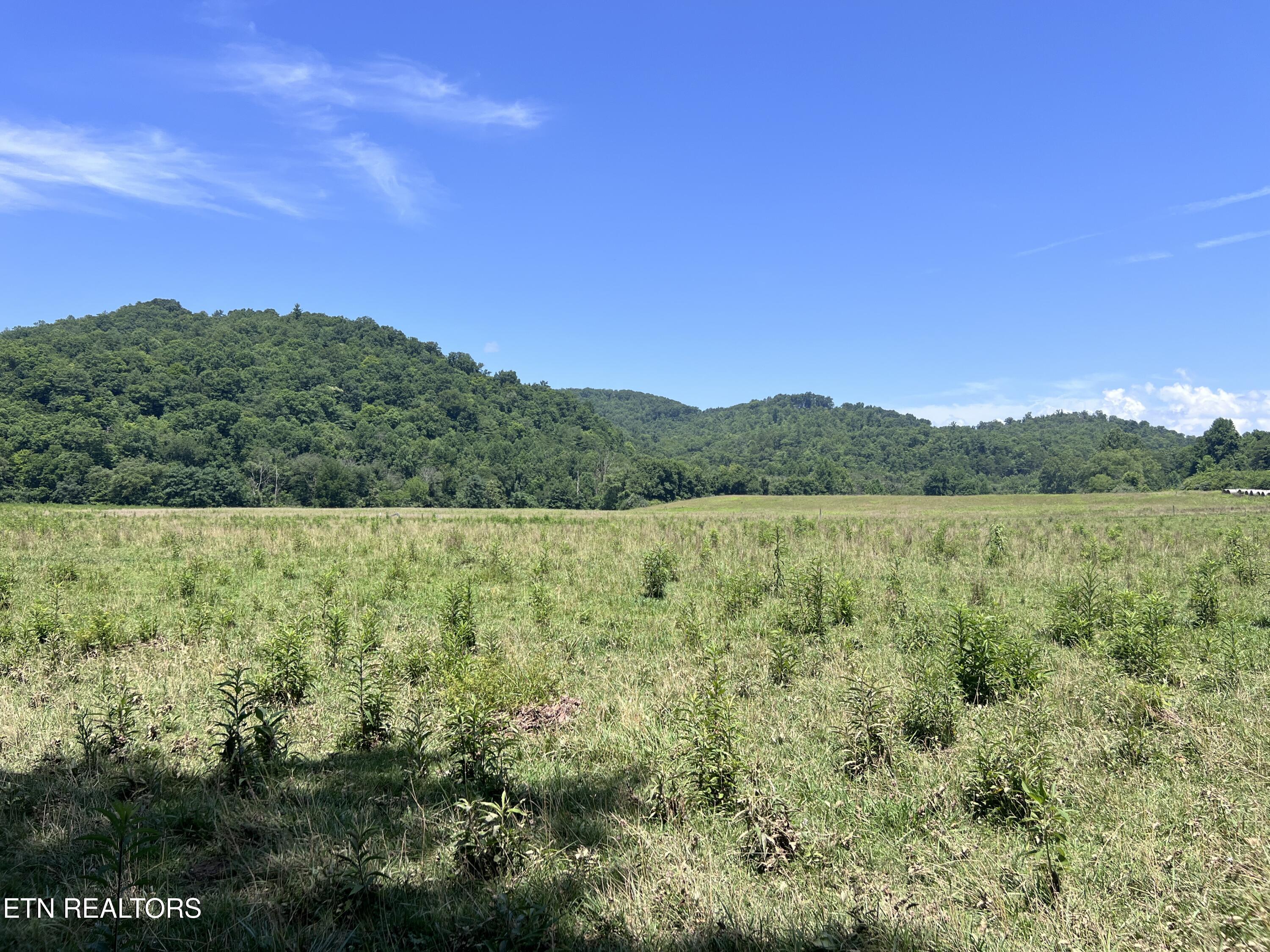 0 Brimstone Road Robbins TN 37852