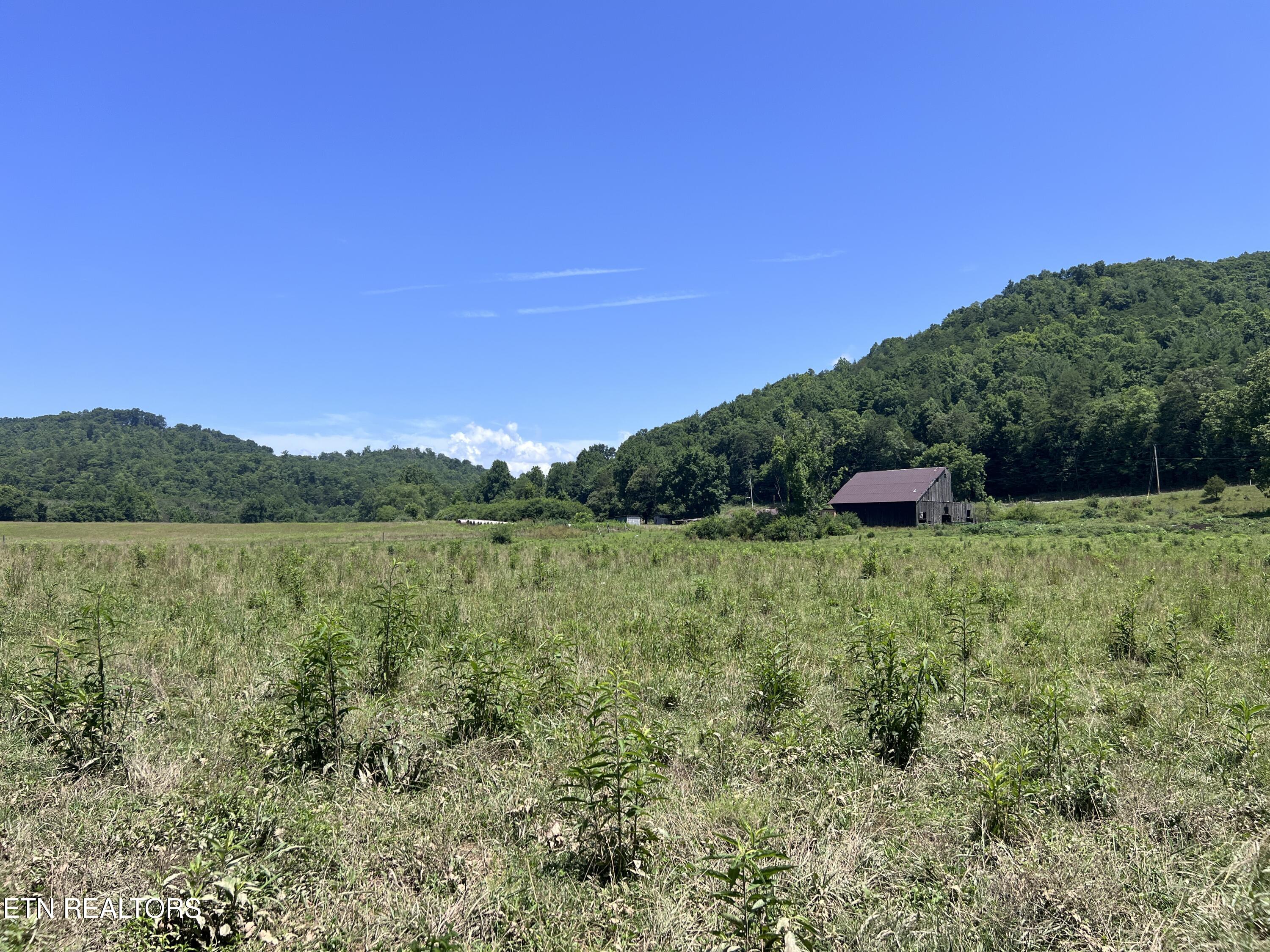 0 Brimstone Road Robbins TN 37852