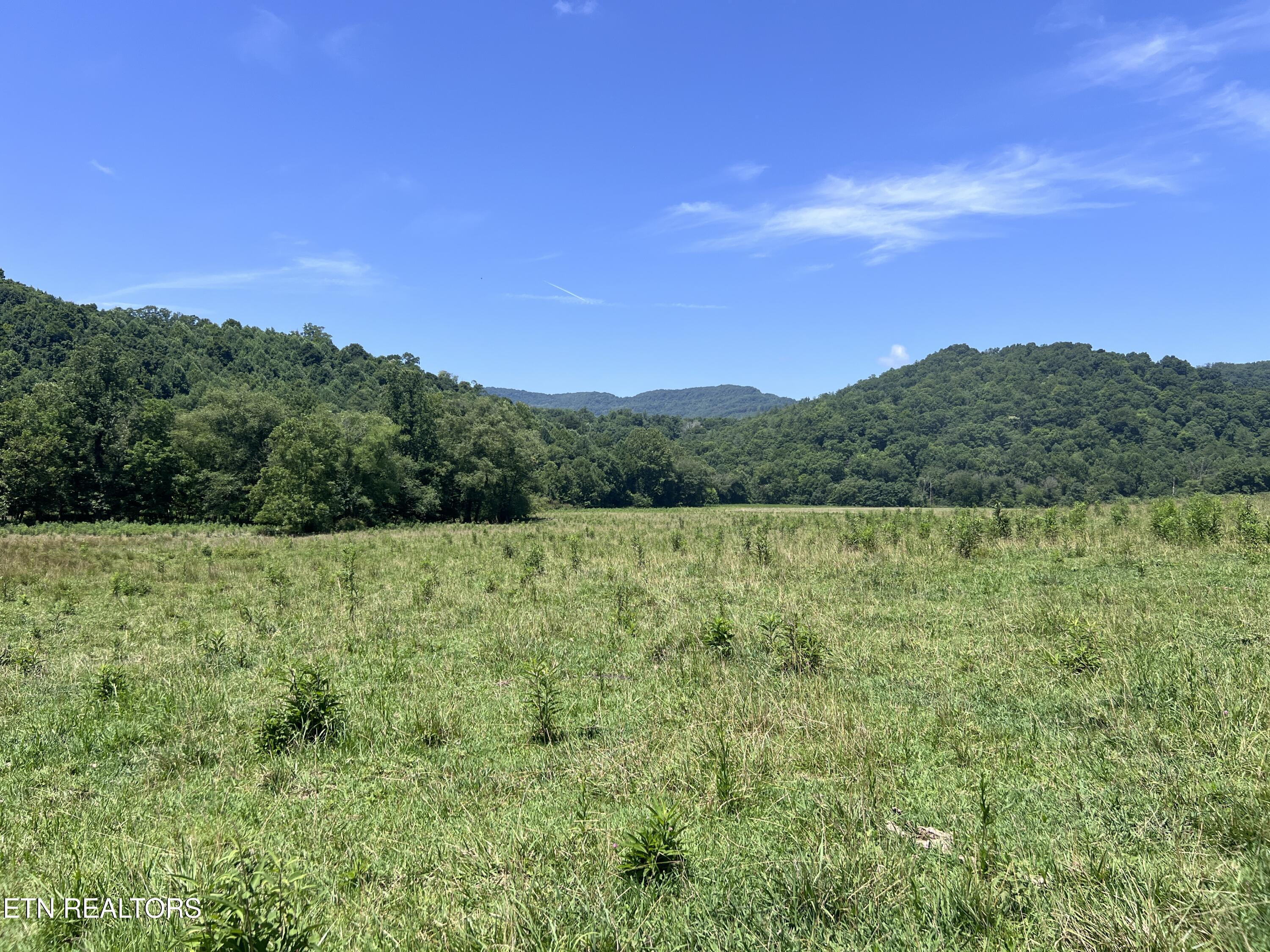 0 Brimstone Road Robbins TN 37852