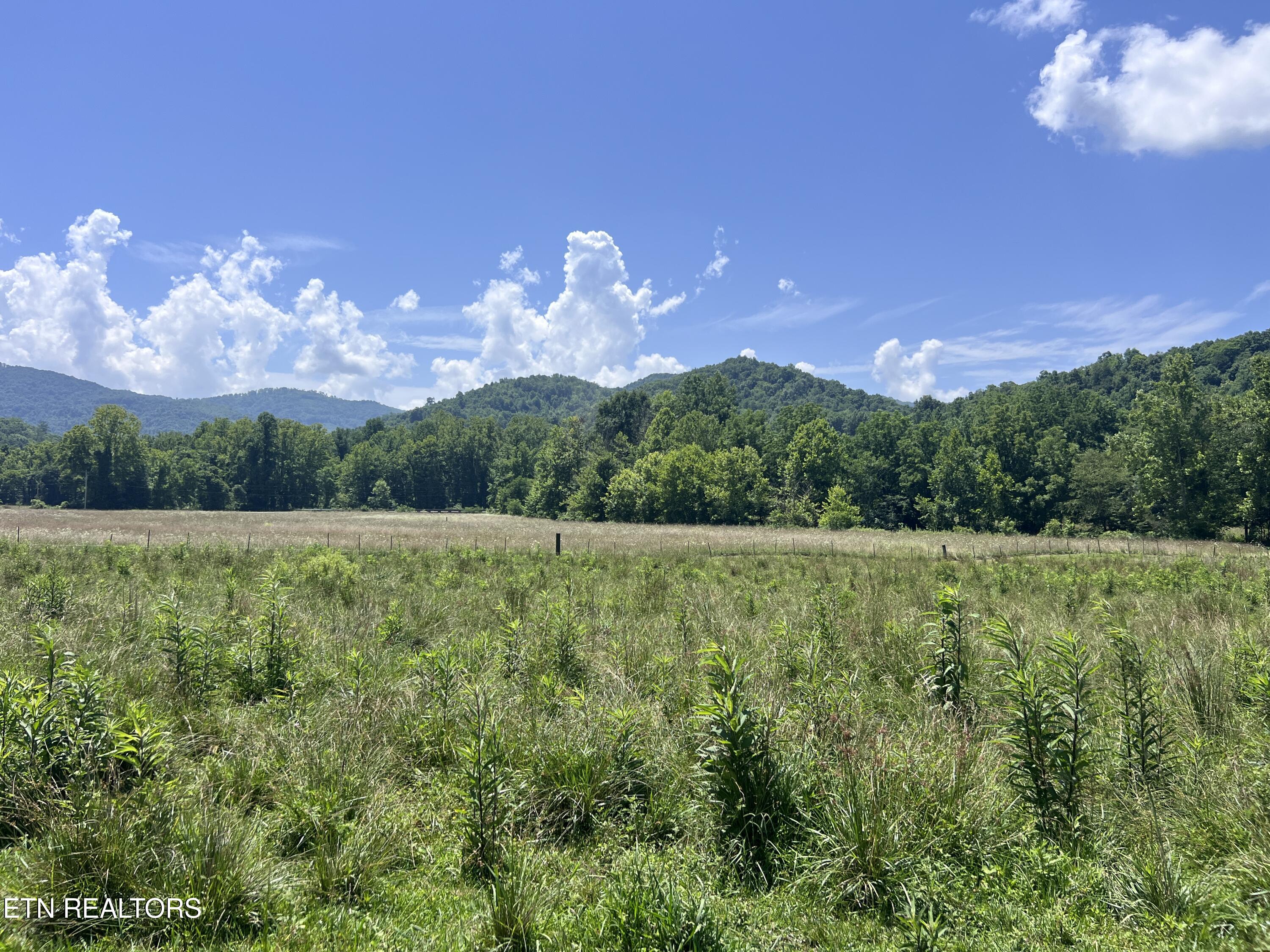 0 Brimstone Road Robbins TN 37852