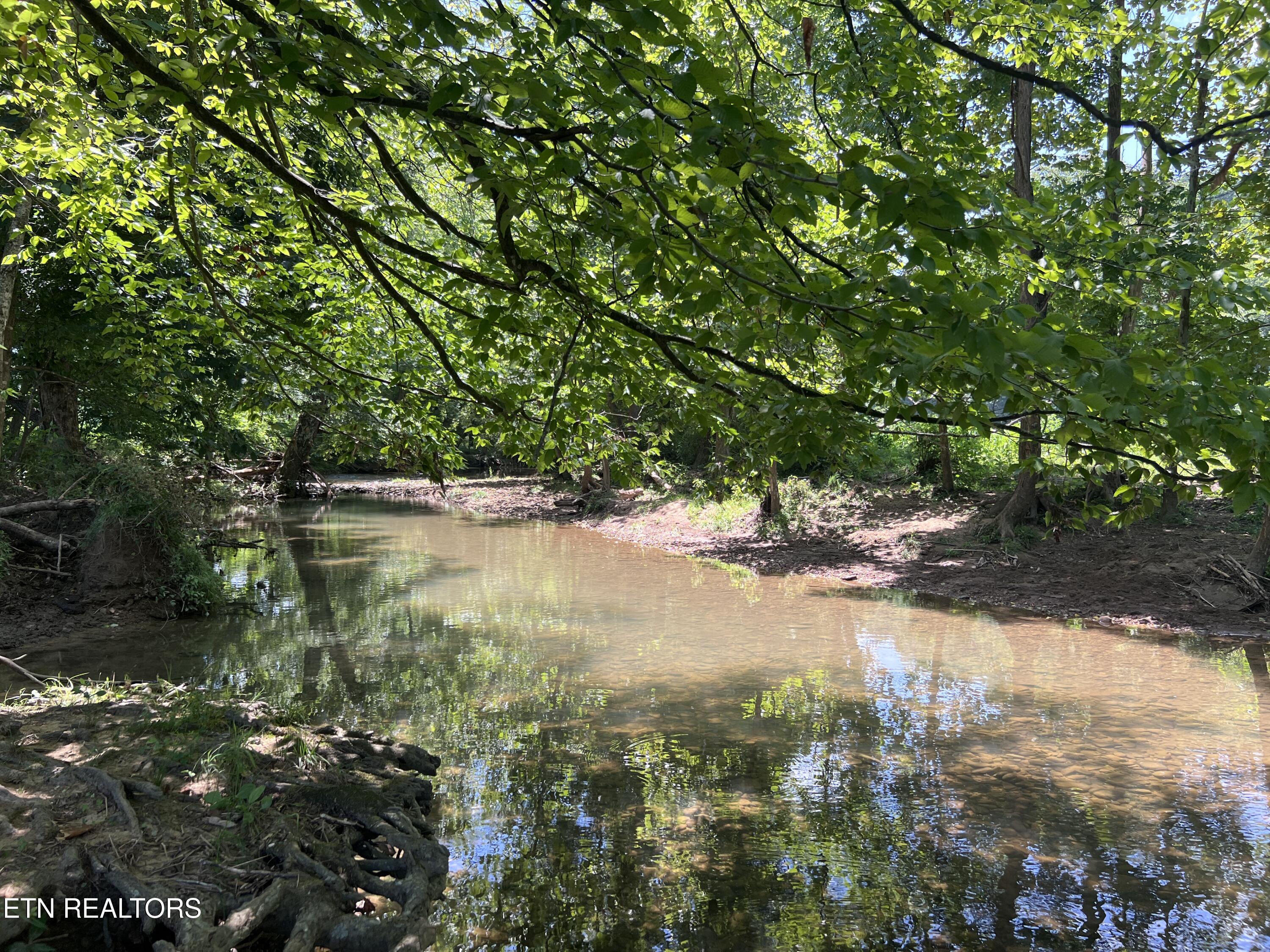 0 Brimstone Road Robbins TN 37852
