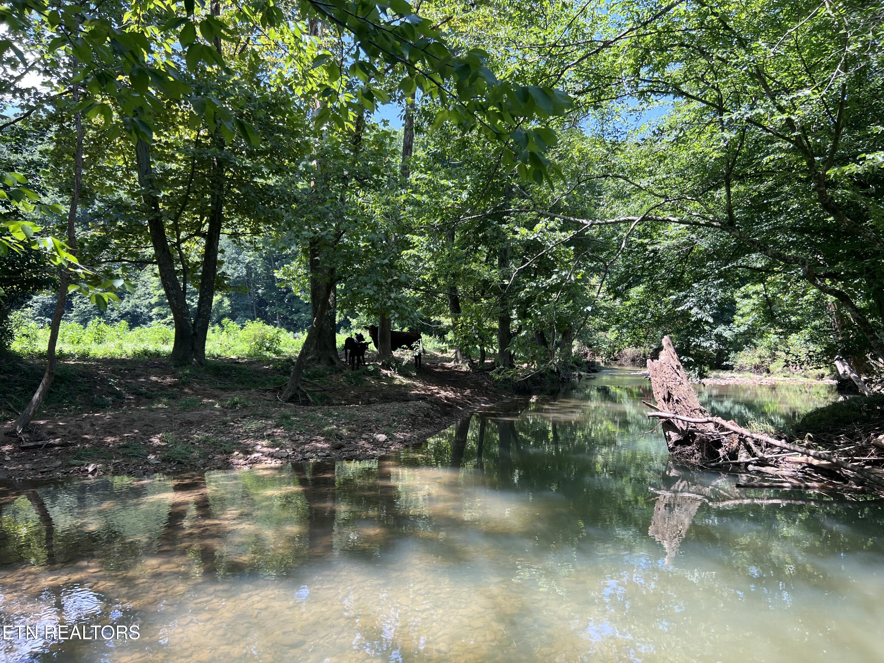 0 Brimstone Road Robbins TN 37852