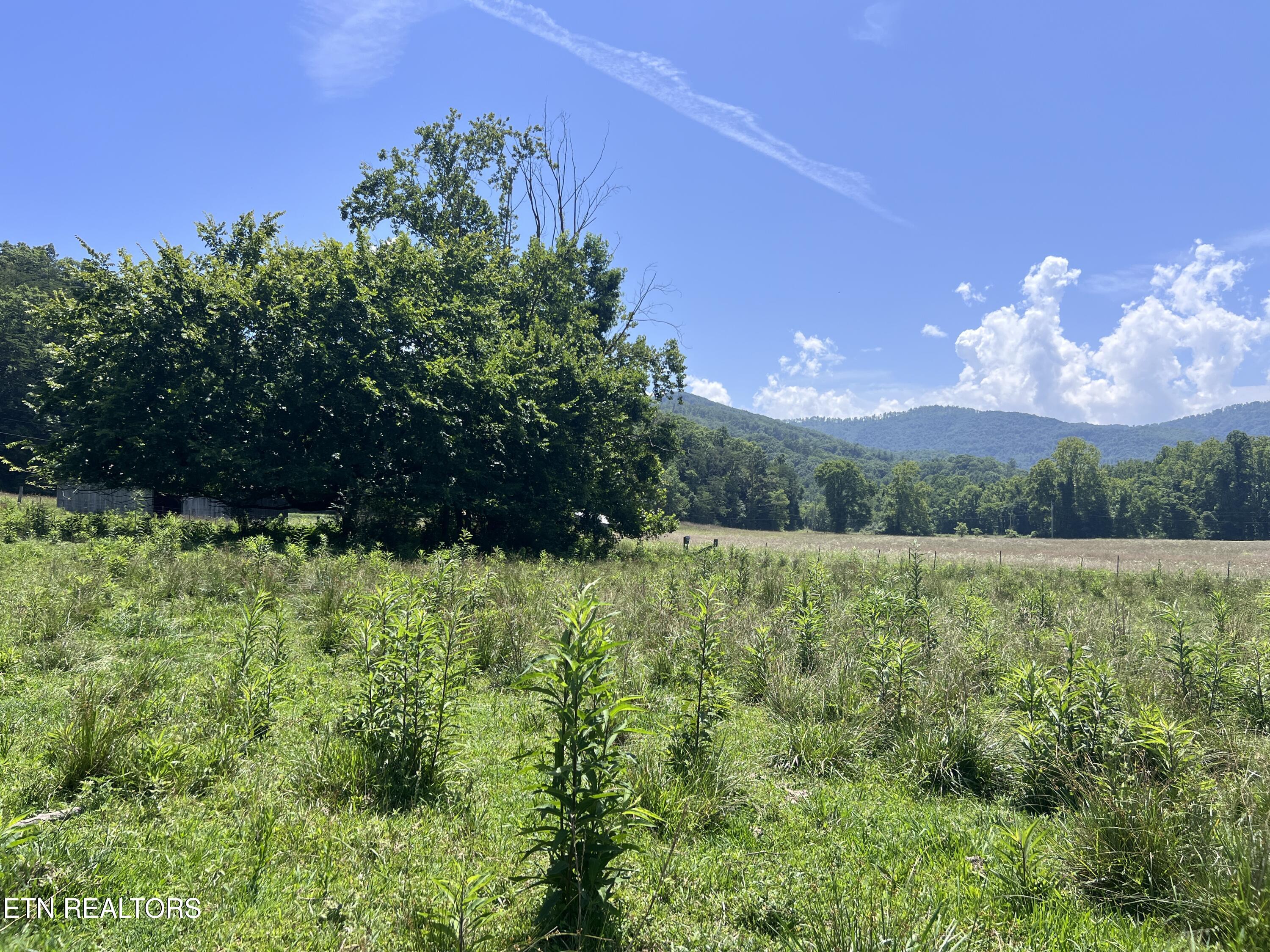 0 Brimstone Road Robbins TN 37852