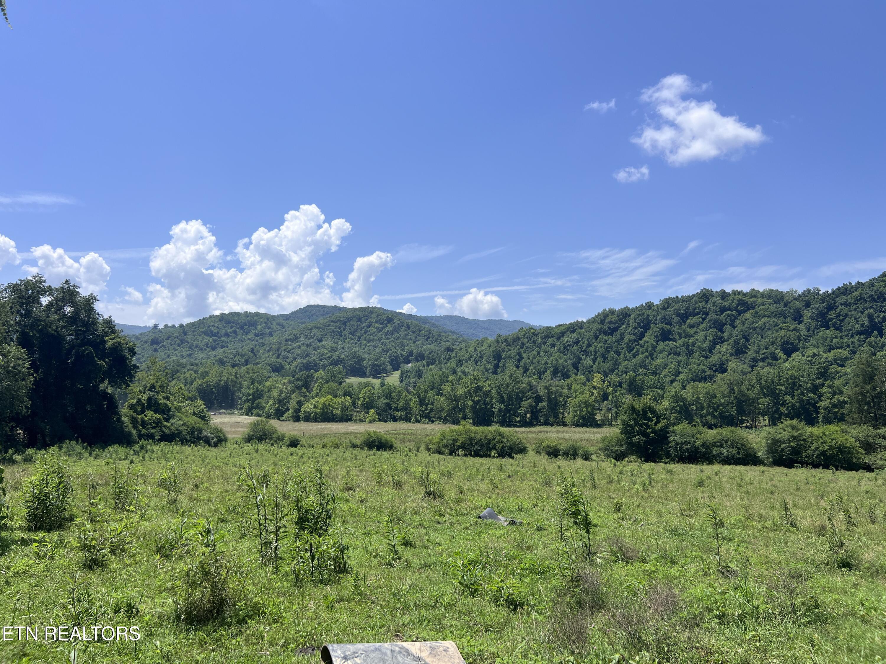 0 Brimstone Road Robbins TN 37852