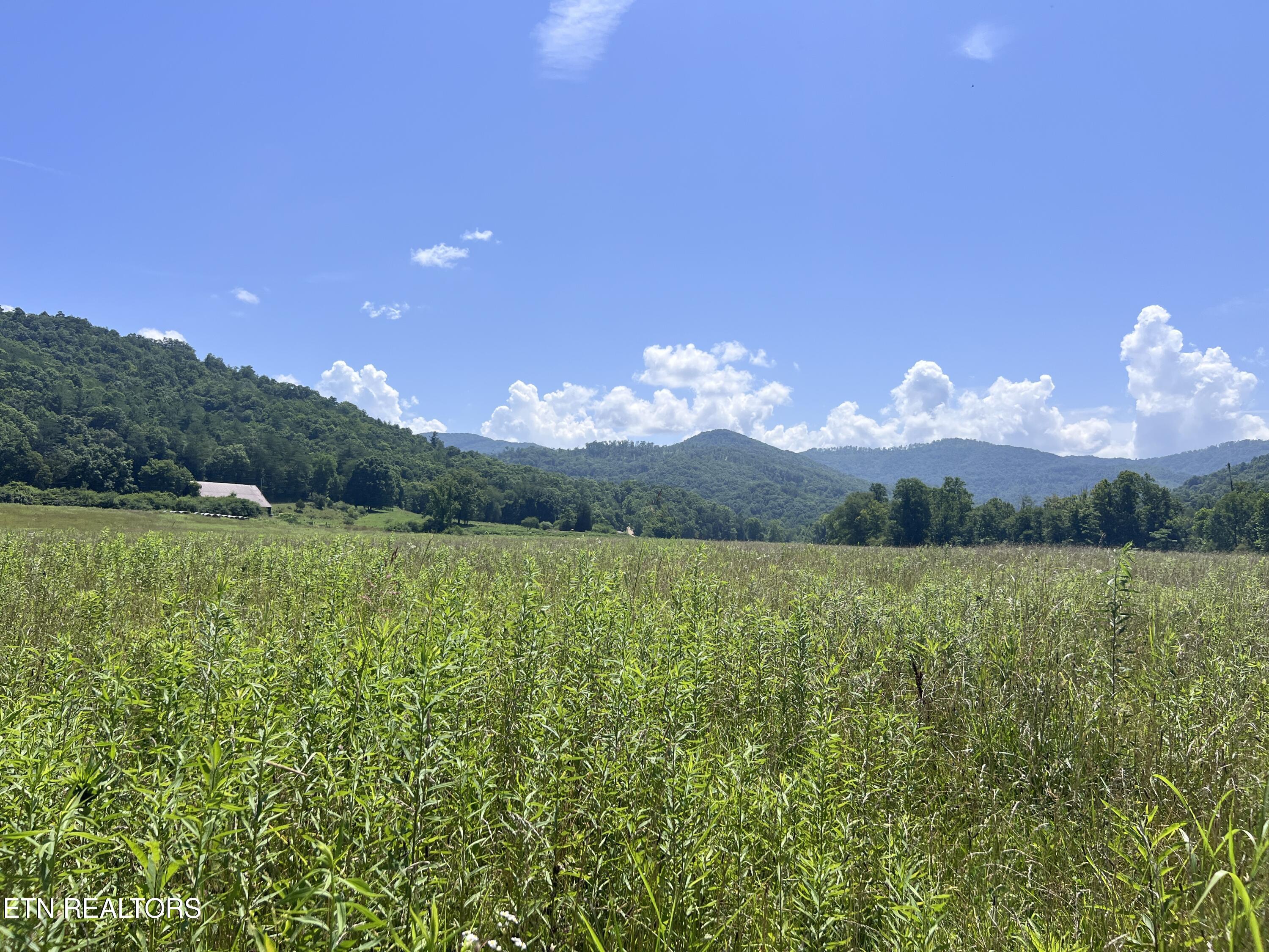 0 Brimstone Road Robbins TN 37852