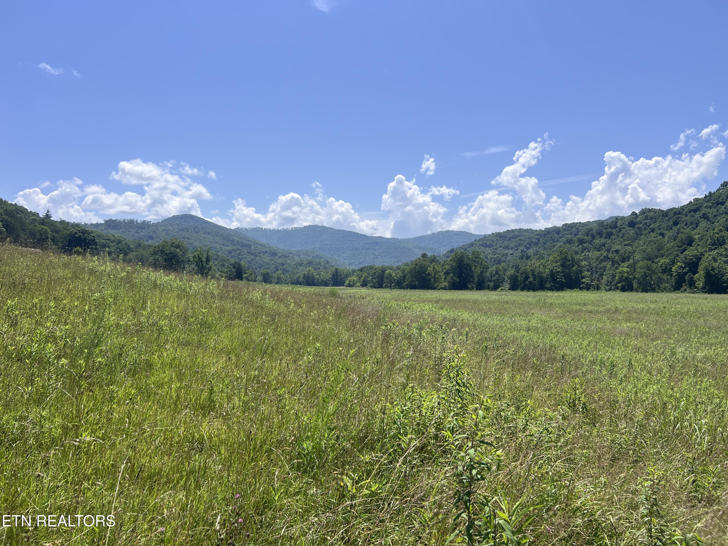 0 Brimstone Road Robbins TN 37852
