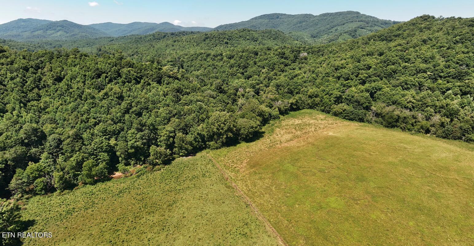 0 Brimstone Road Robbins TN 37852