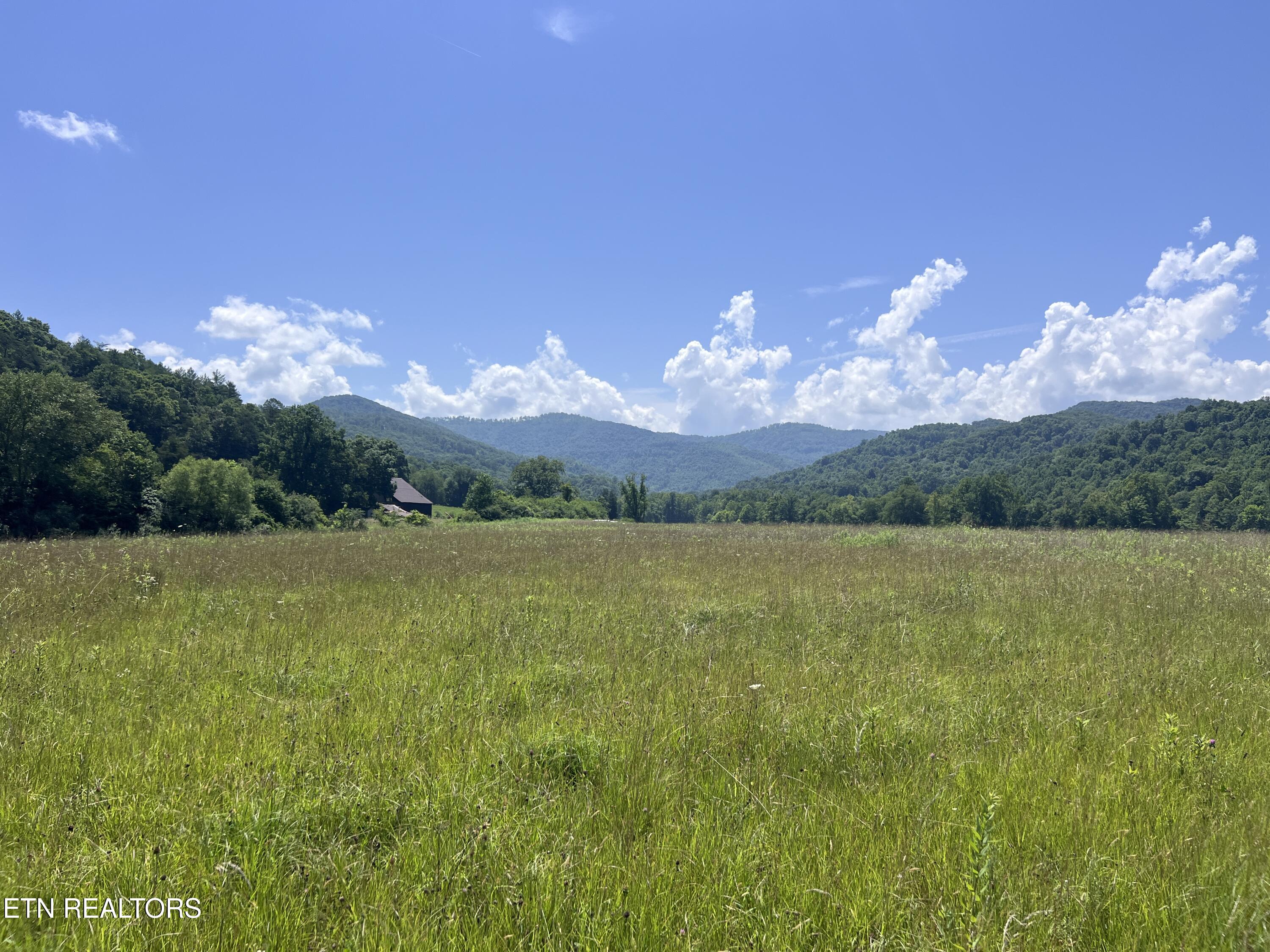 0 Brimstone Road Robbins TN 37852