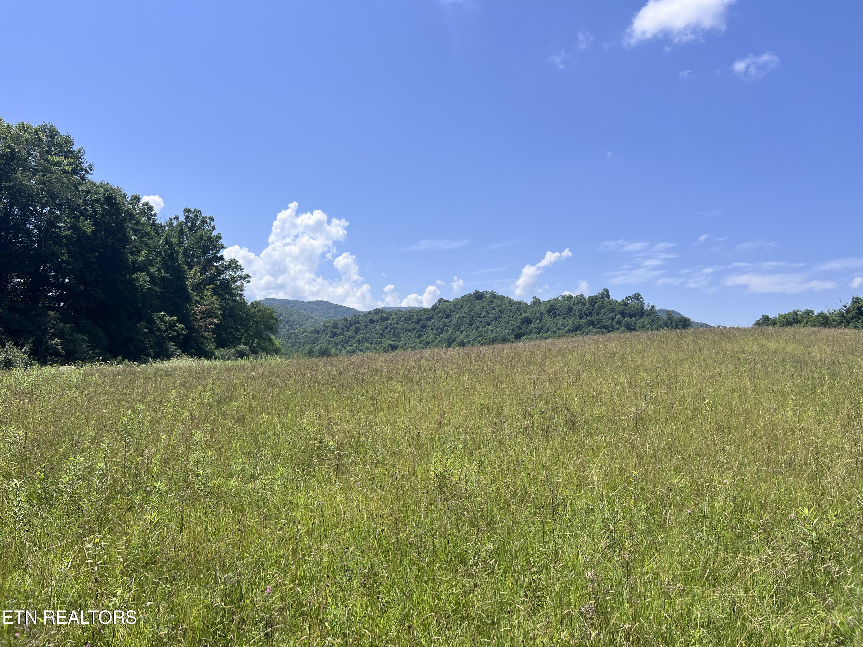 0 Brimstone Road Robbins TN 37852