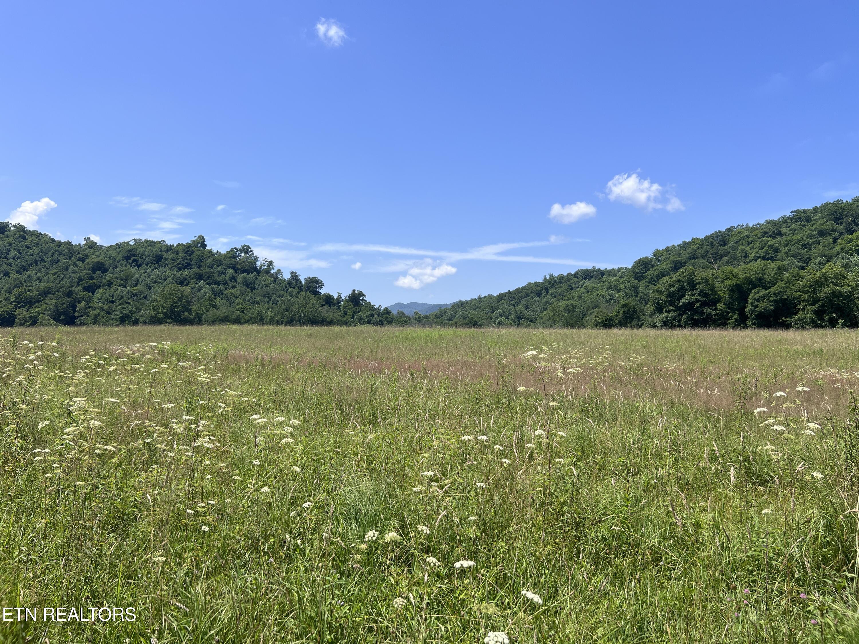 0 Brimstone Road Robbins TN 37852