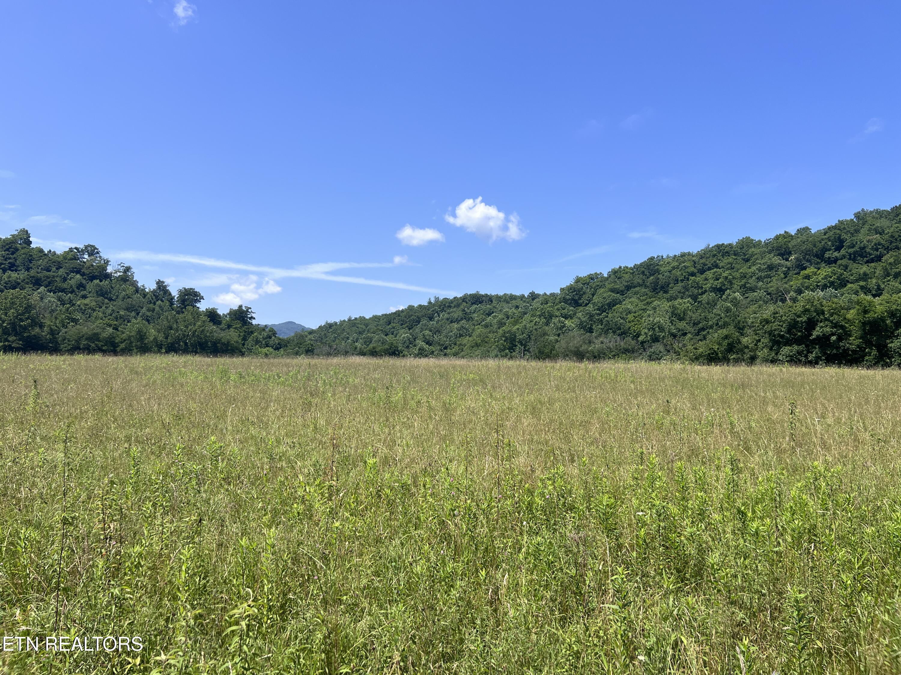 0 Brimstone Road Robbins TN 37852