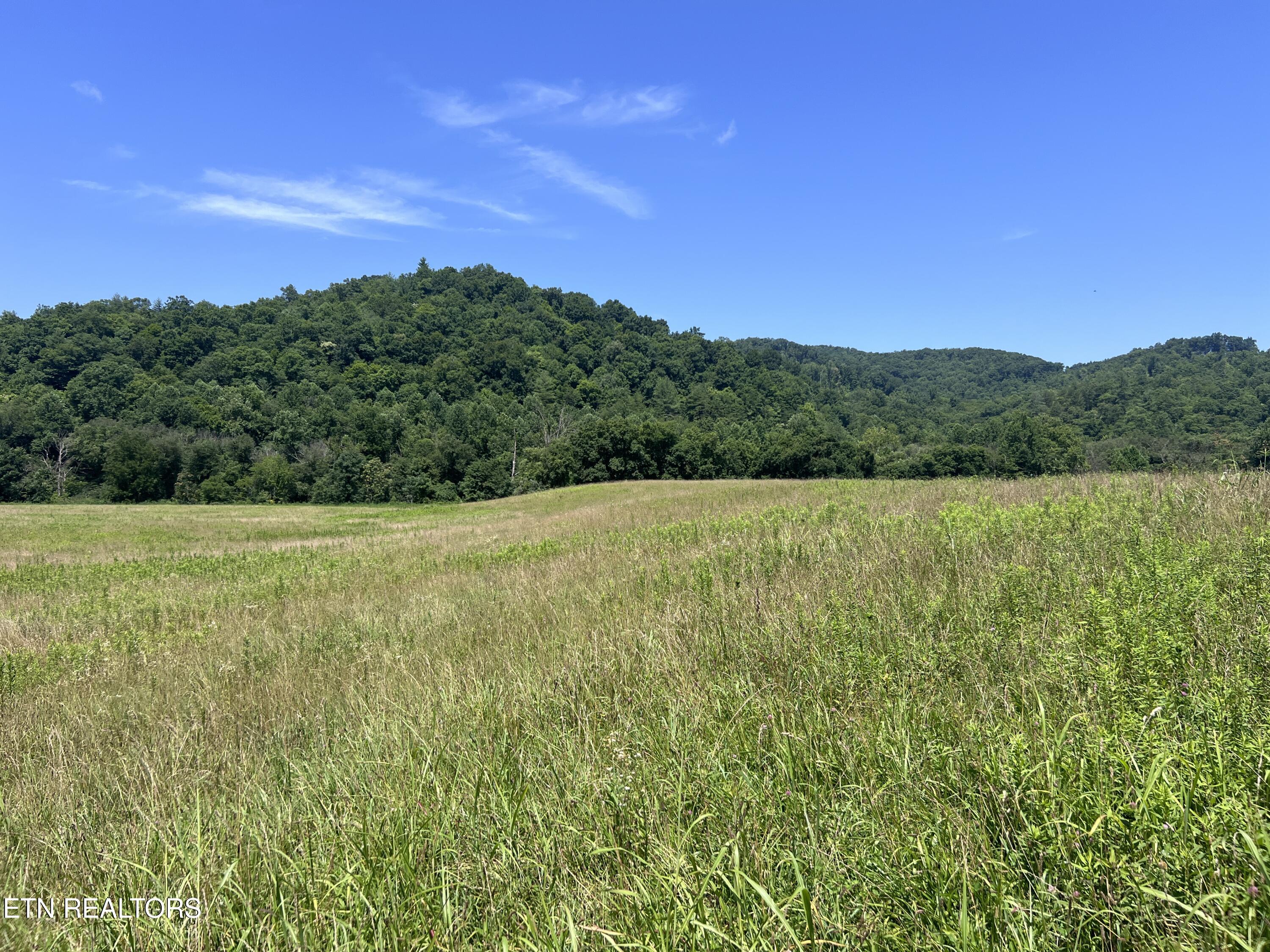 0 Brimstone Road Robbins TN 37852