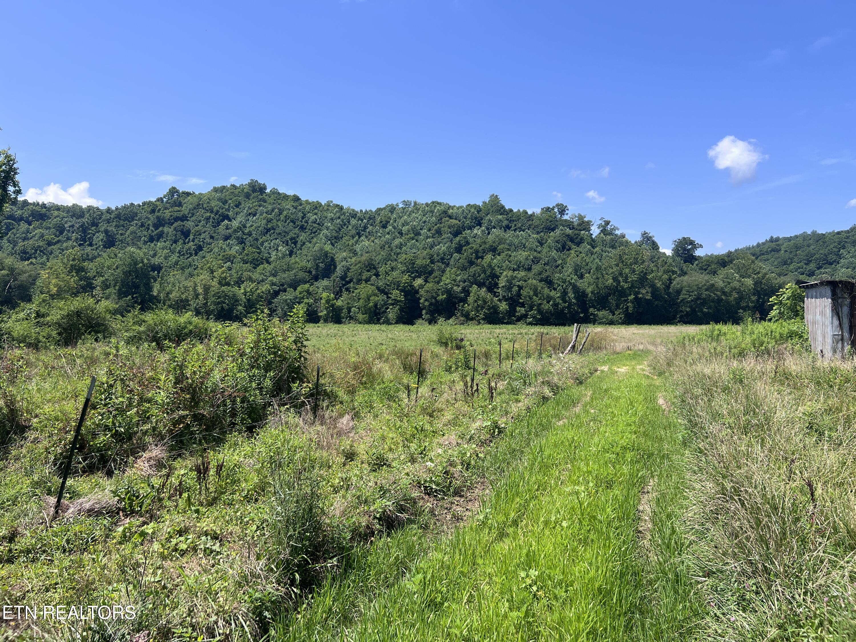 0 Brimstone Road Robbins TN 37852