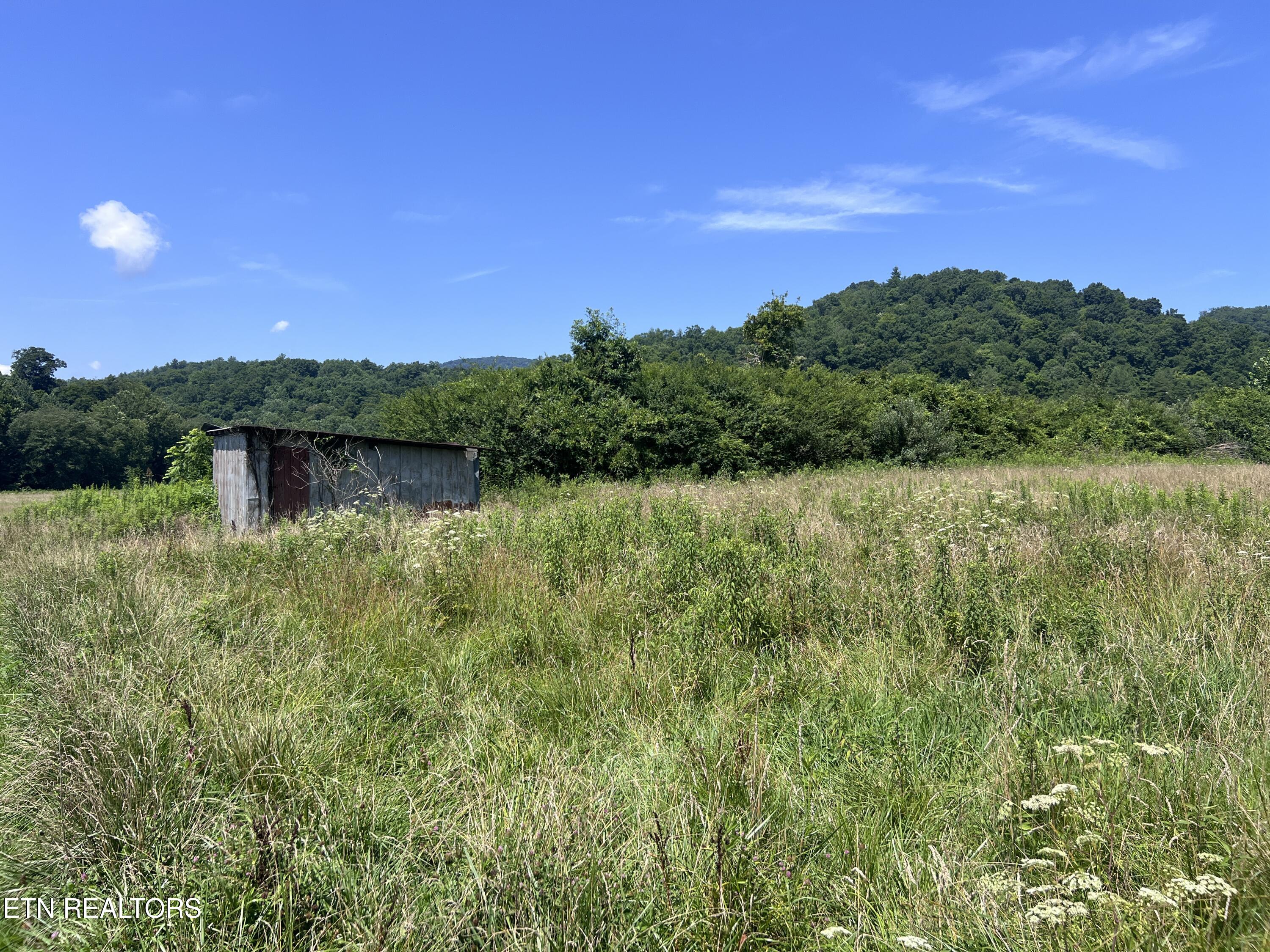 0 Brimstone Road Robbins TN 37852