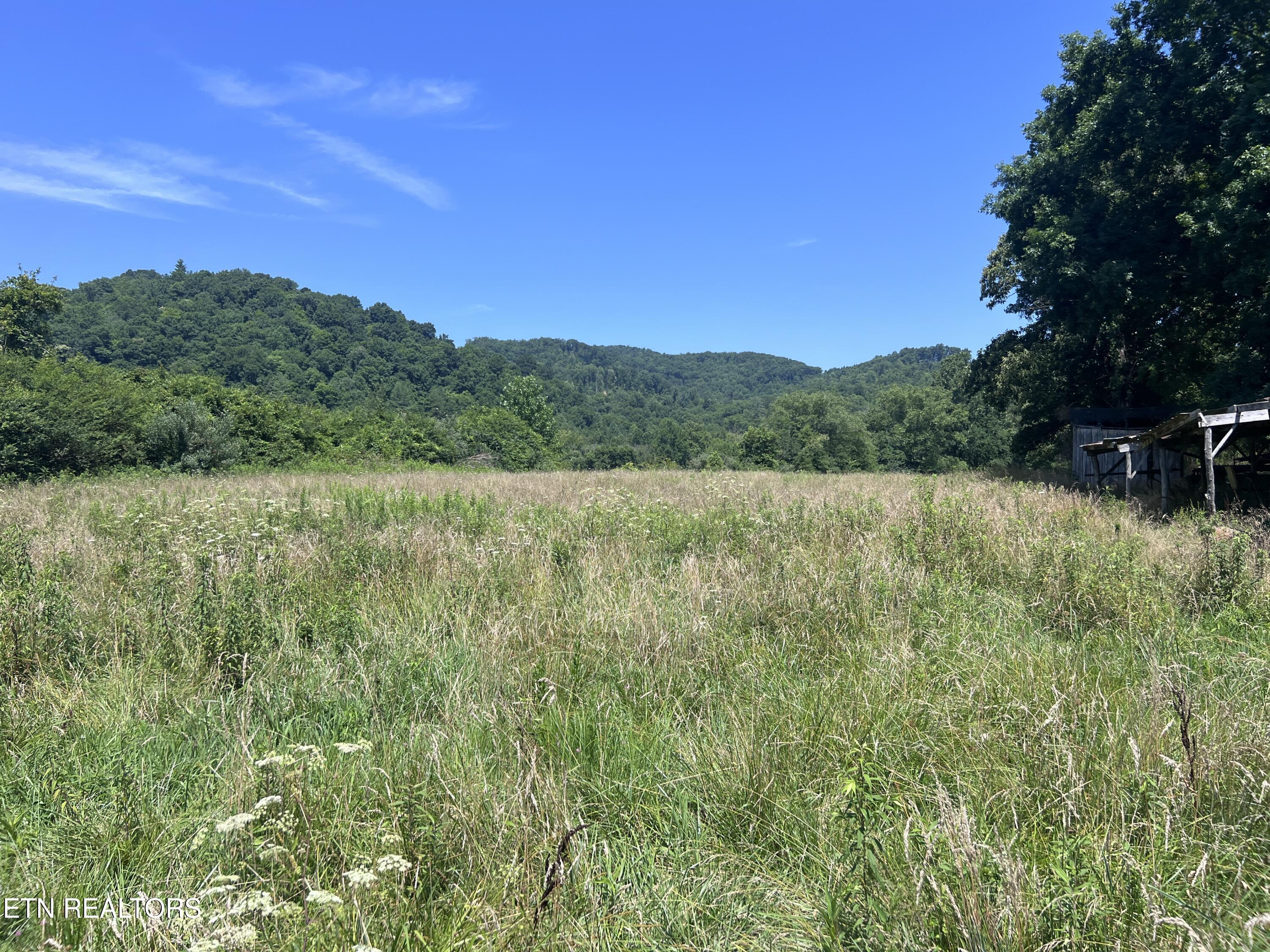 0 Brimstone Road Robbins TN 37852