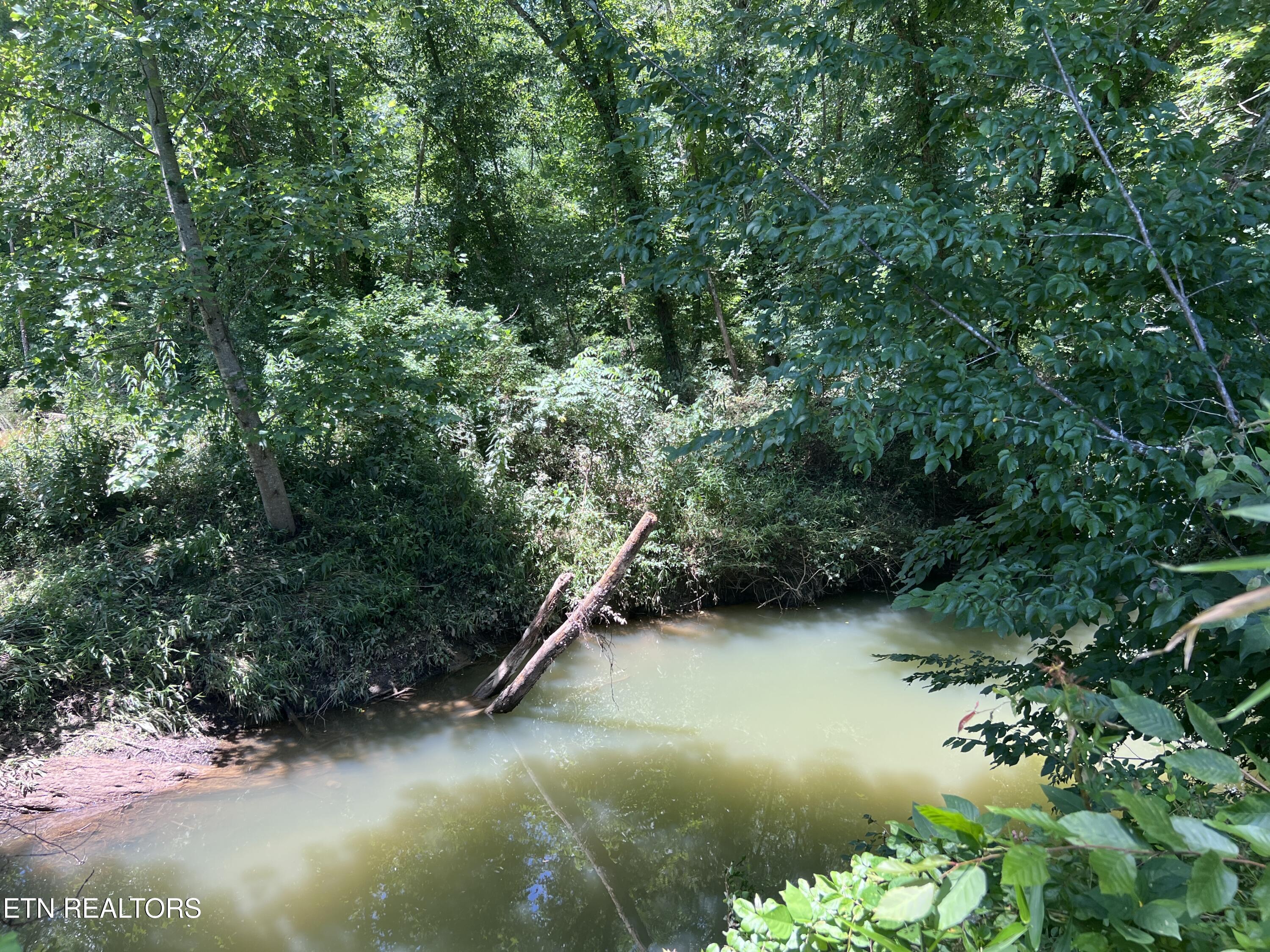 0 Brimstone Road Robbins TN 37852