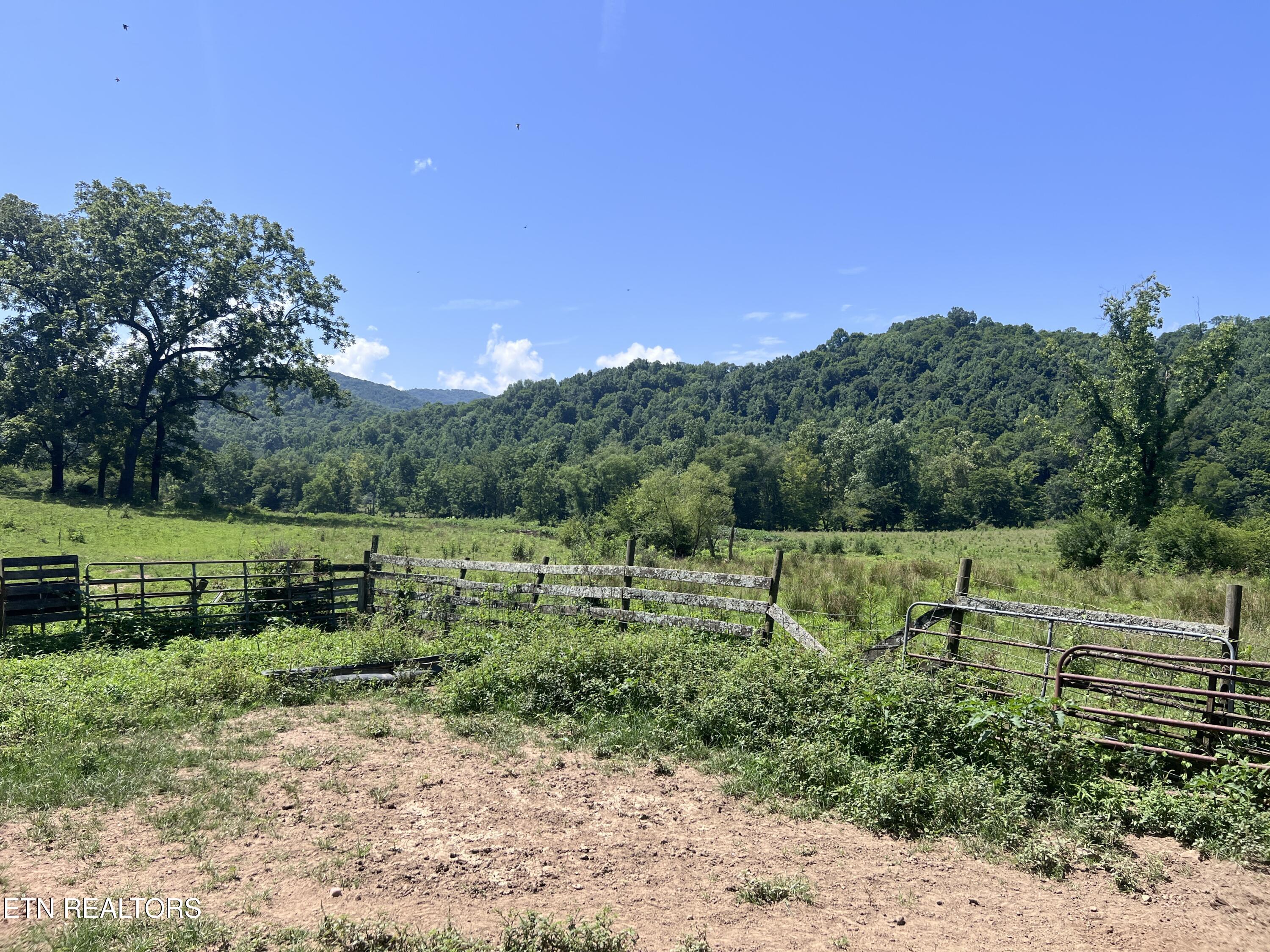 0 Brimstone Road Robbins TN 37852