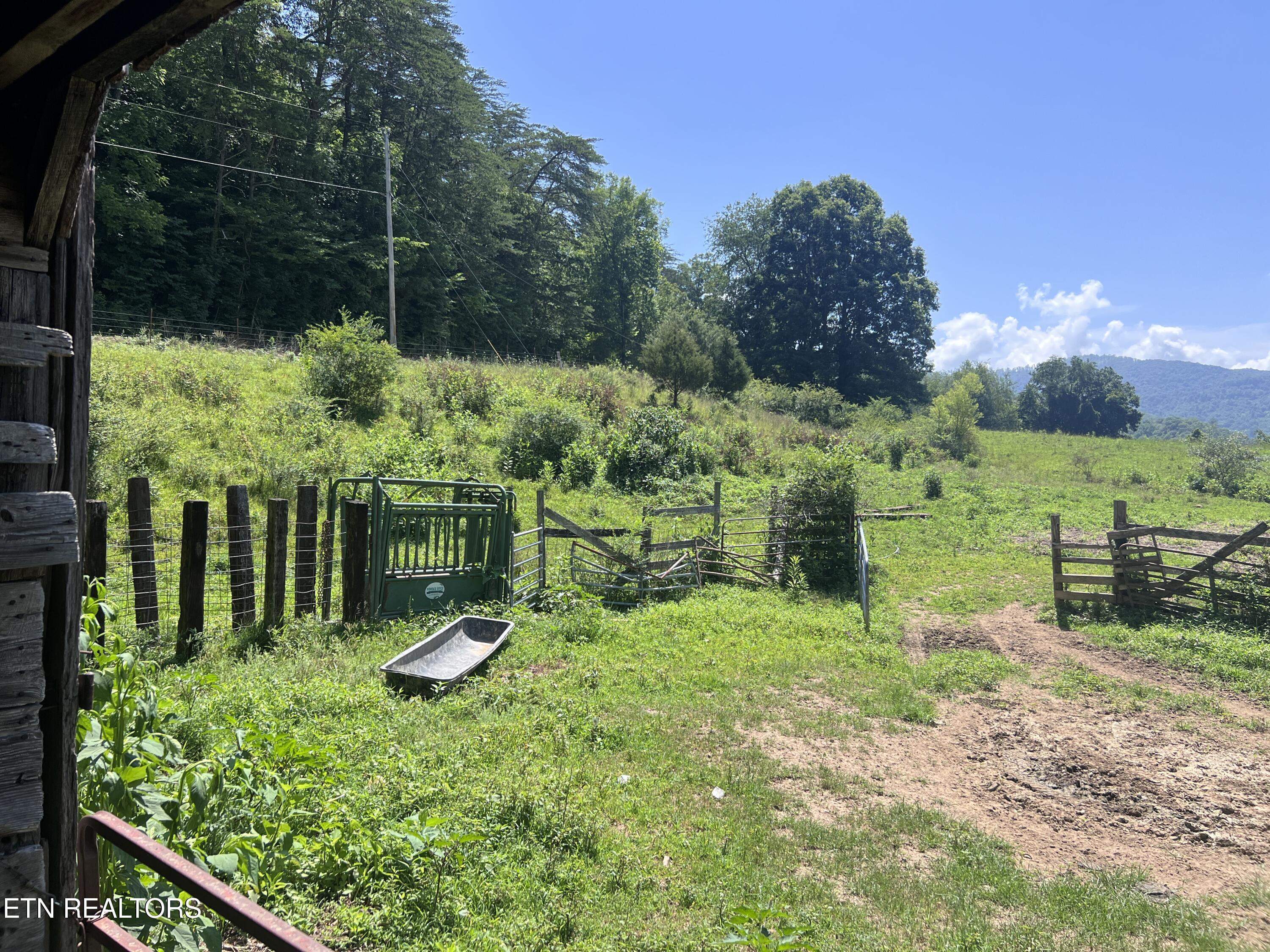 0 Brimstone Road Robbins TN 37852