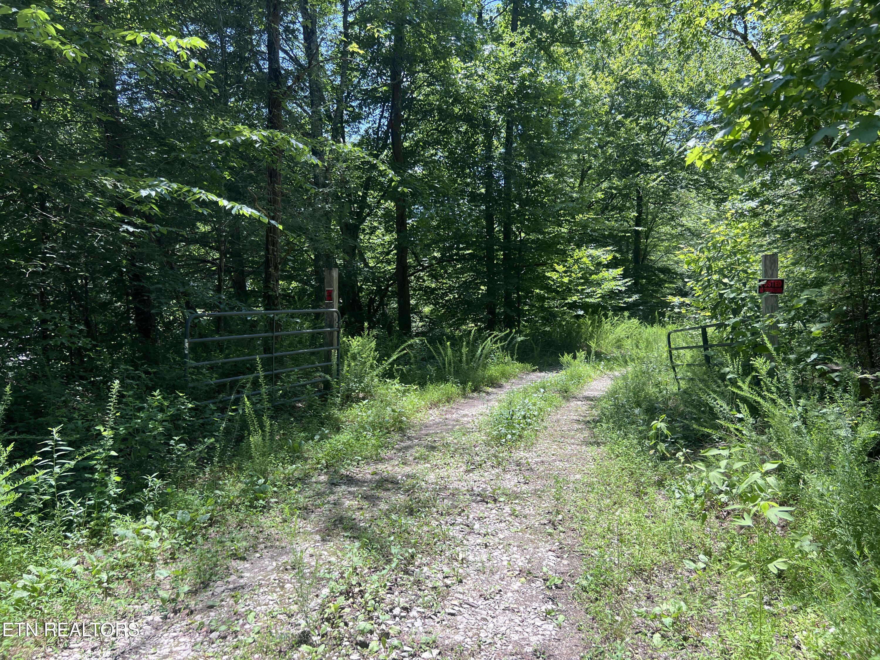 0 Brimstone Road Robbins TN 37852