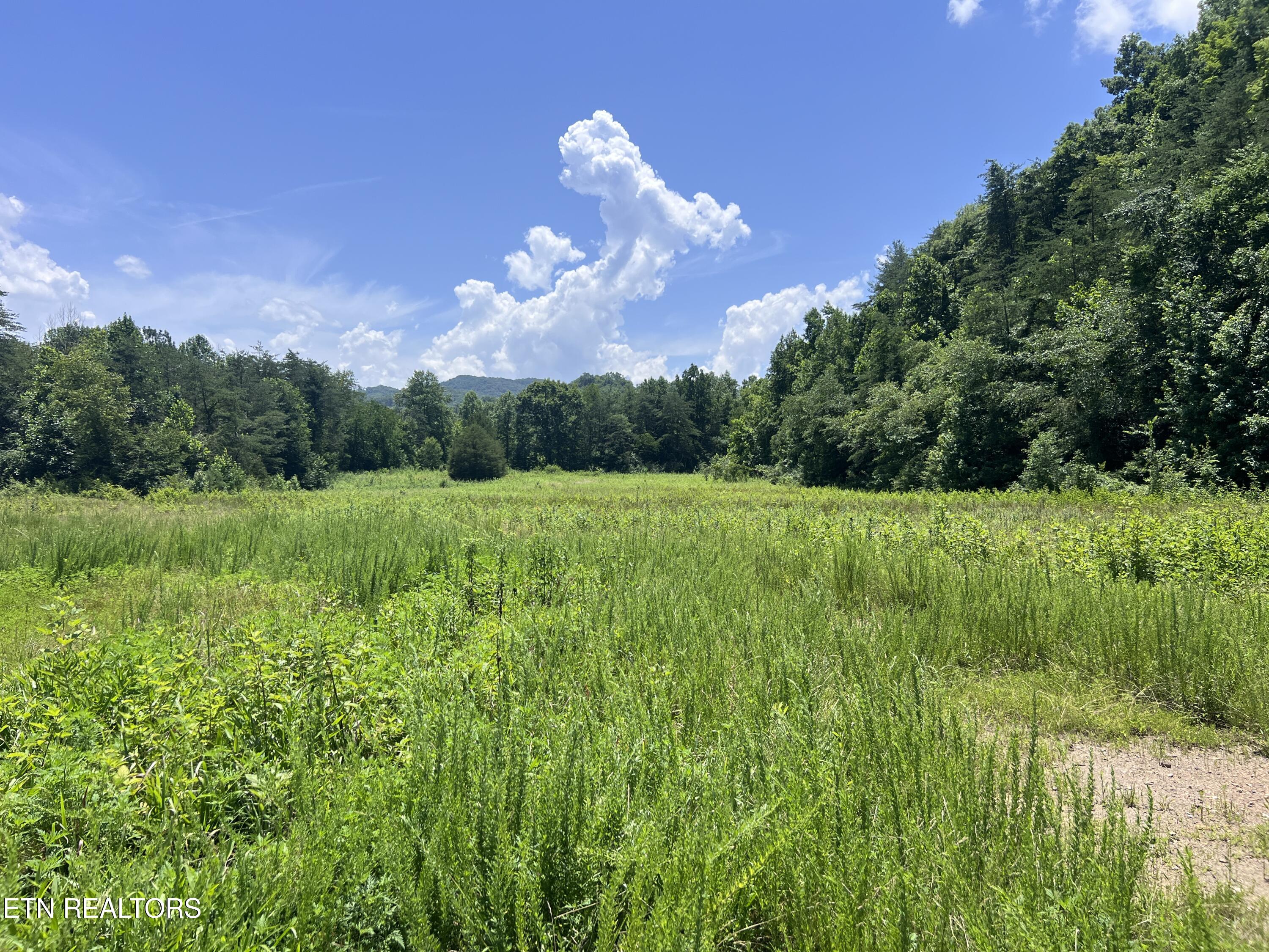 0 Brimstone Road Robbins TN 37852