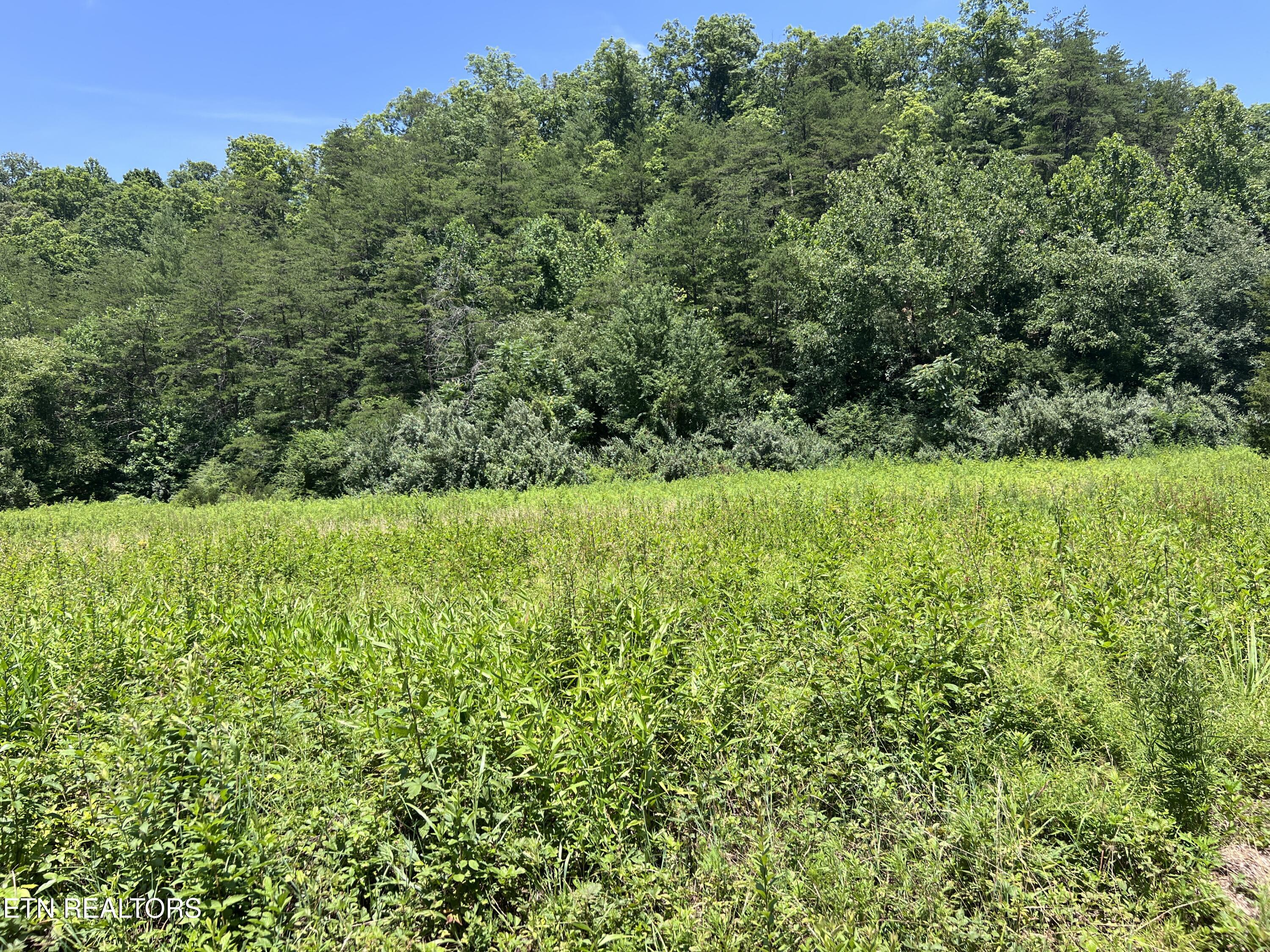 0 Brimstone Road Robbins TN 37852