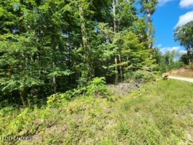 Lot 73 Tomahawk Road Jamestown TN 38556