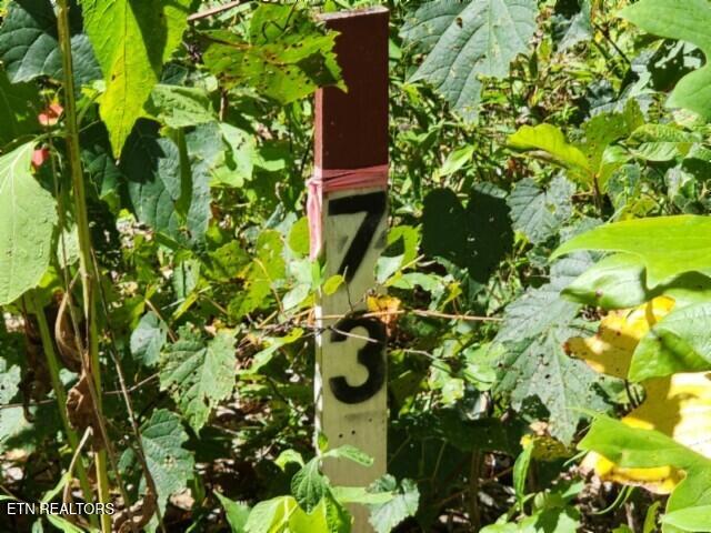 Lot 73 Tomahawk Road Jamestown TN 38556