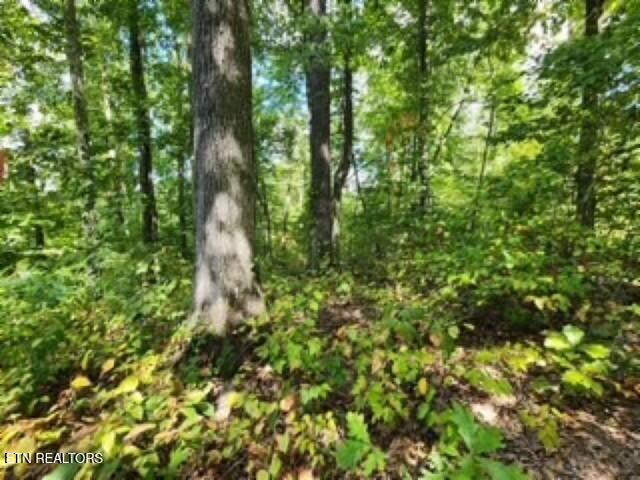 Lot 73 Tomahawk Road Jamestown TN 38556
