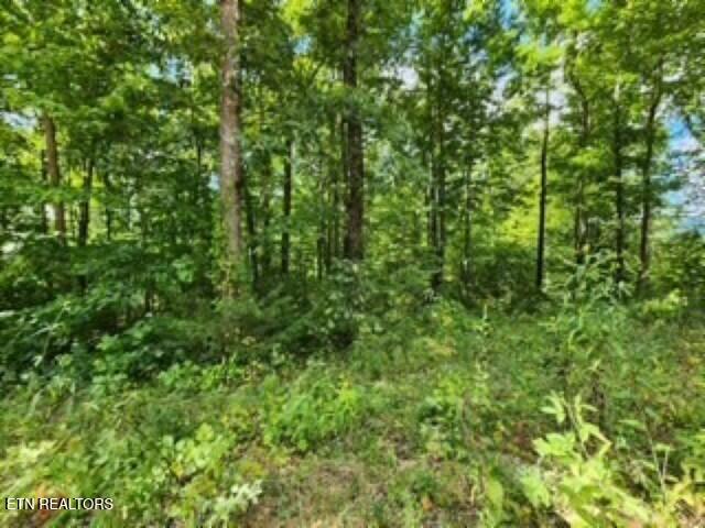 Lot 73 Tomahawk Road Jamestown TN 38556