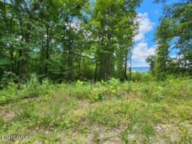 Lot 73 Tomahawk Road Jamestown TN 38556
