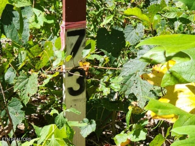 Lot 73 Tomahawk Road Jamestown TN 38556