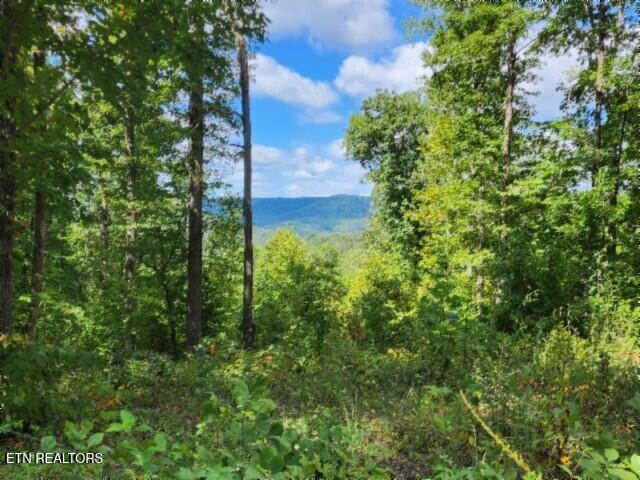 Lot 73 Tomahawk Road Jamestown TN 38556