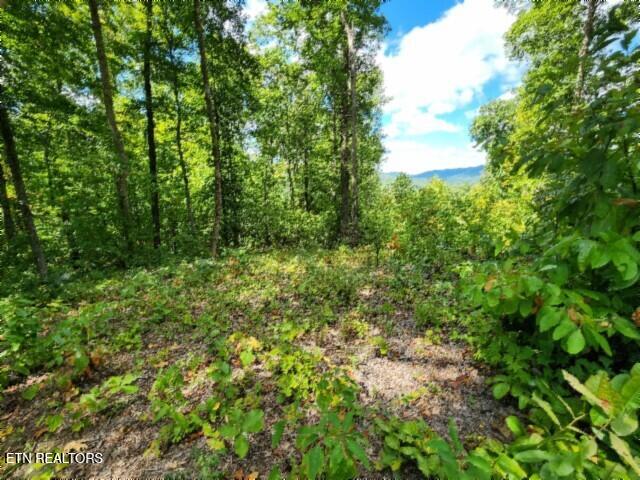 Lot 73 Tomahawk Road Jamestown TN 38556