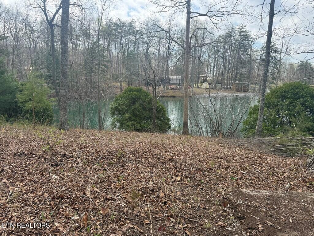231 Crockett Lake Drive Crossville TN 38572