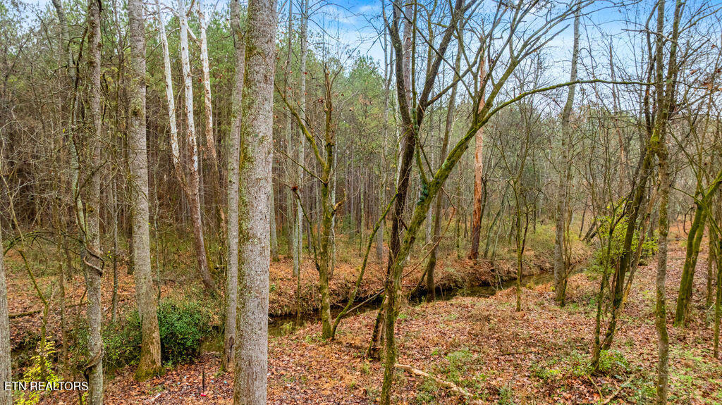 11915 E Watkins Road Loudon TN 37774