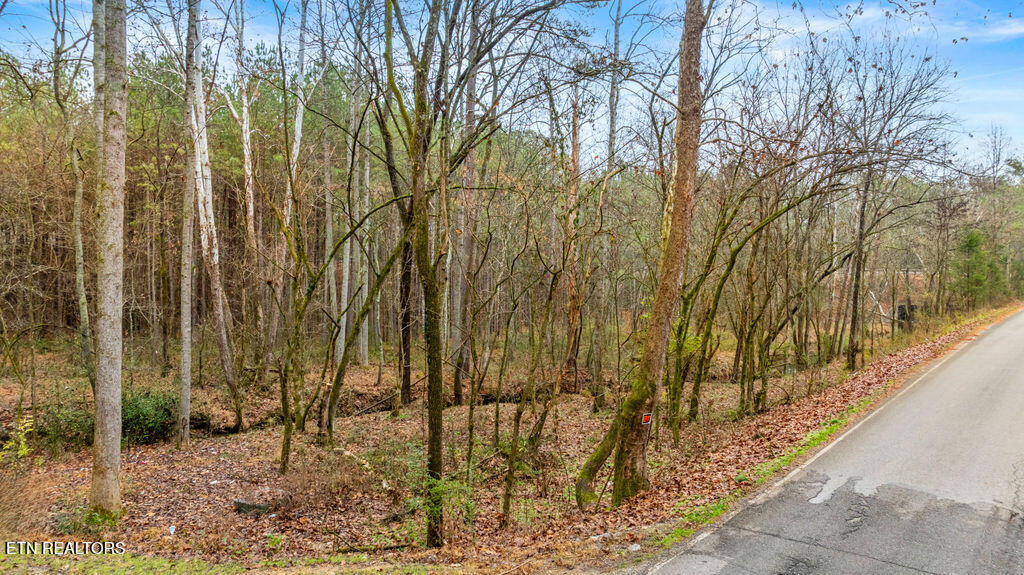 11915 E Watkins Road Loudon TN 37774