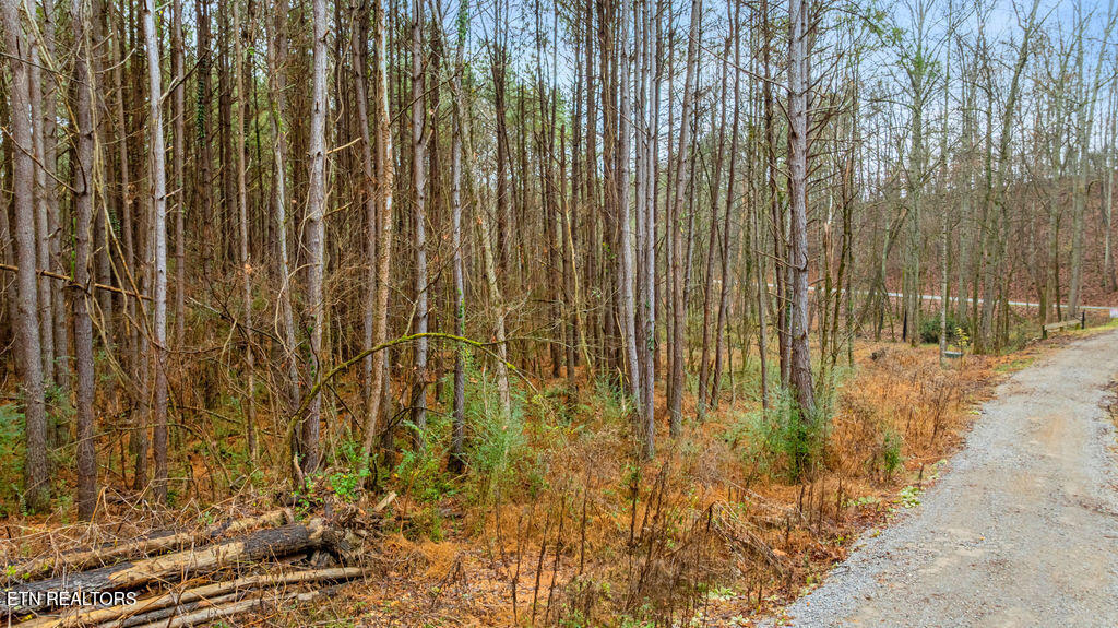 11915 E Watkins Road Loudon TN 37774