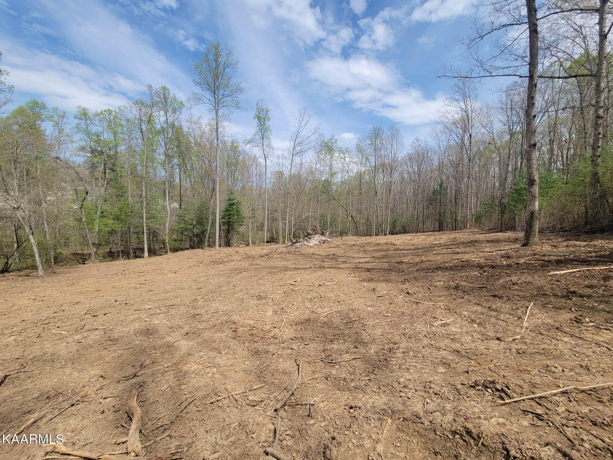 1386 Old Deerlodge Pike Deer Lodge TN 37726